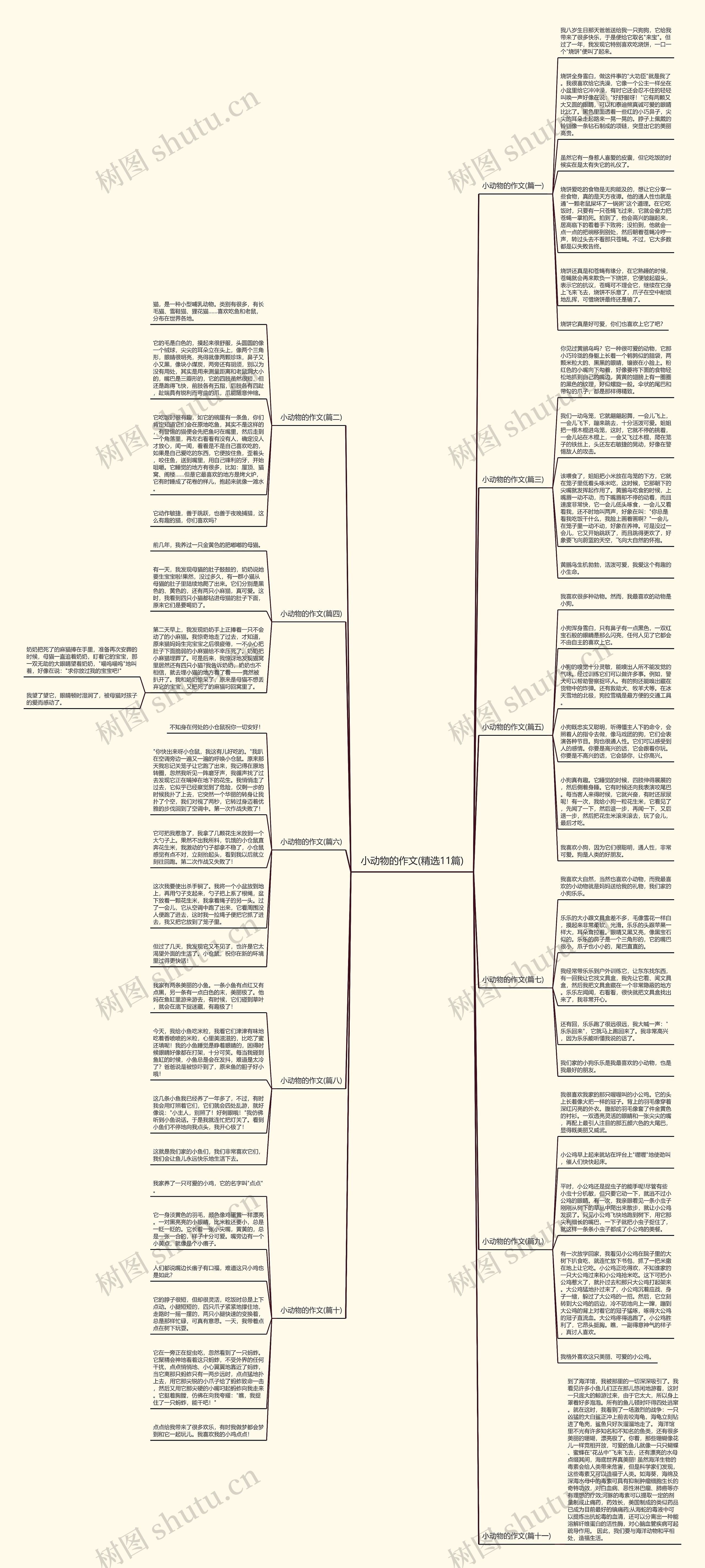 小动物的作文(精选11篇)思维导图