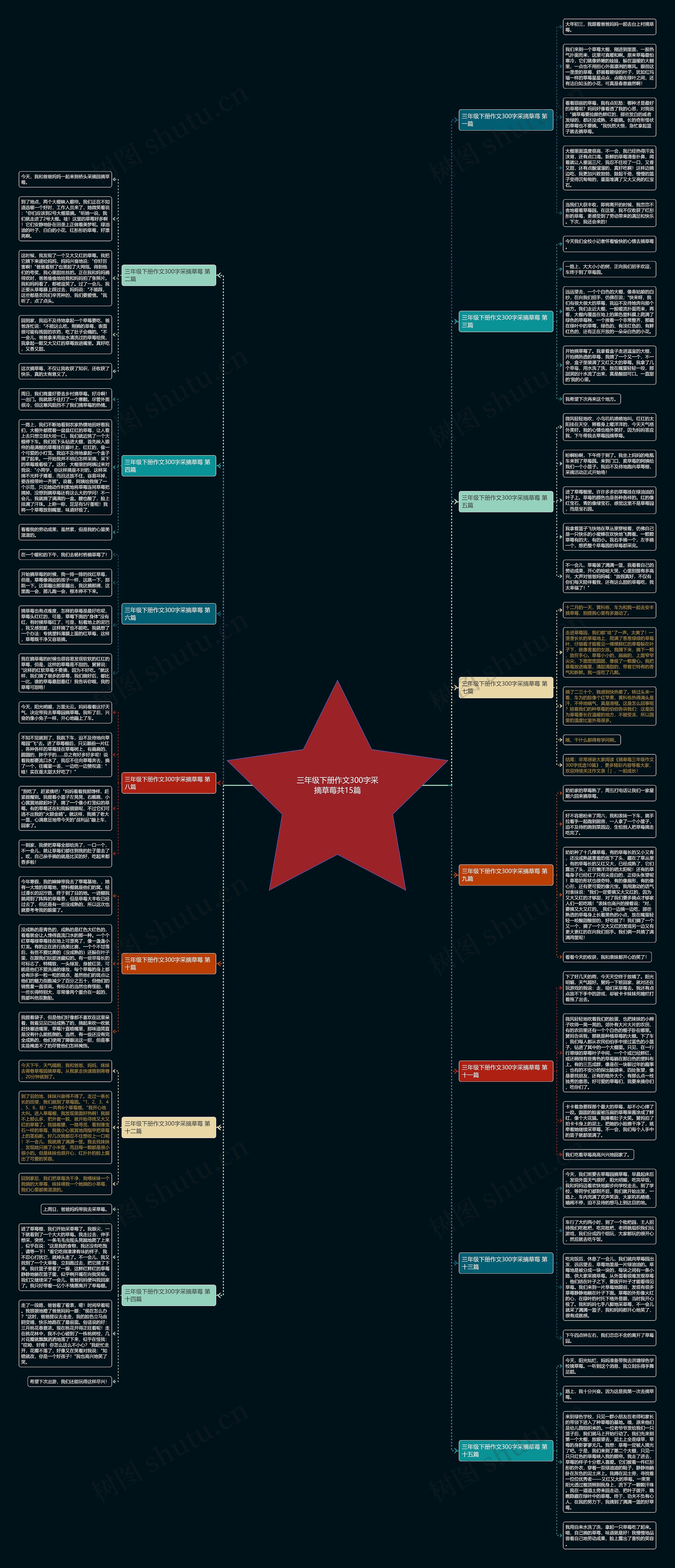 三年级下册作文300字采摘草莓共15篇思维导图