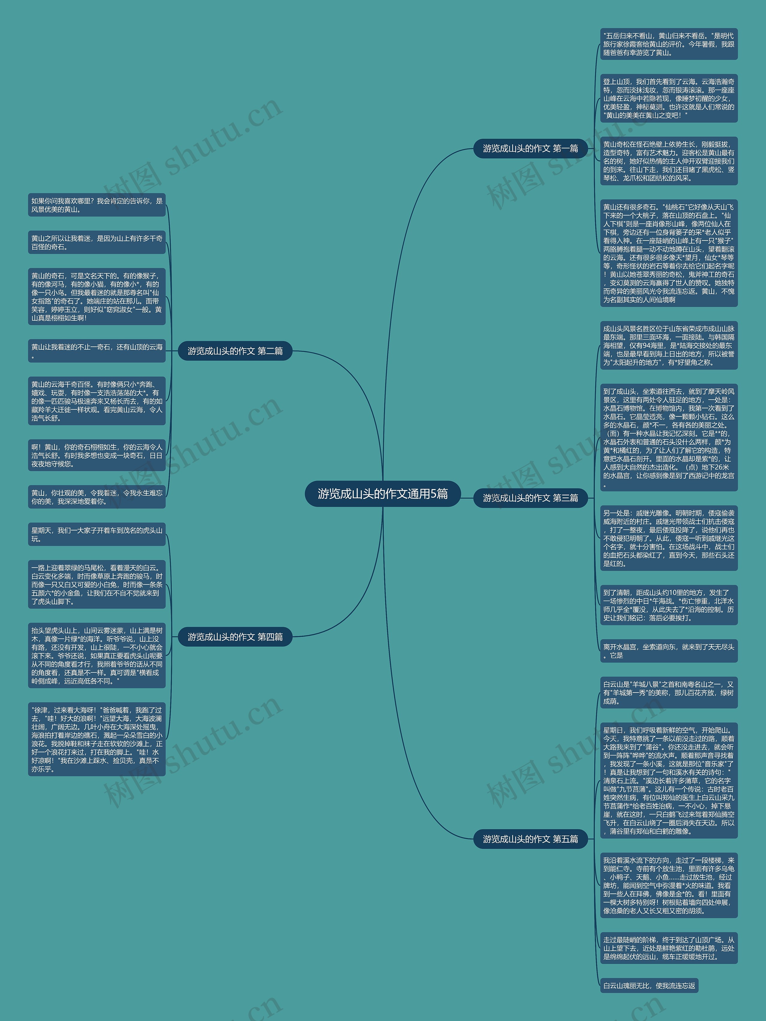 游览成山头的作文通用5篇思维导图