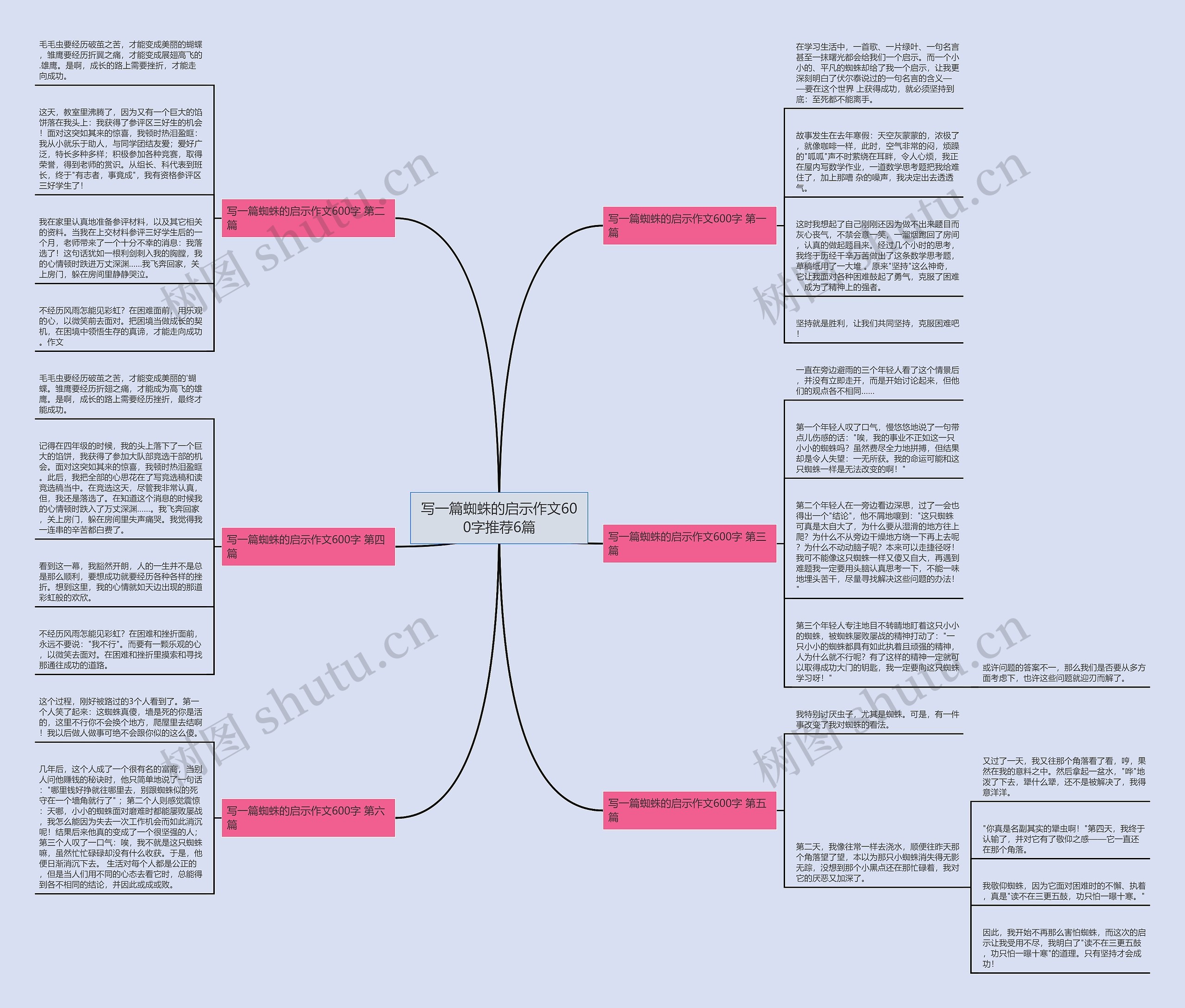 写一篇蜘蛛的启示作文600字推荐6篇 写一篇蜘蛛的启示作文600字推荐6篇