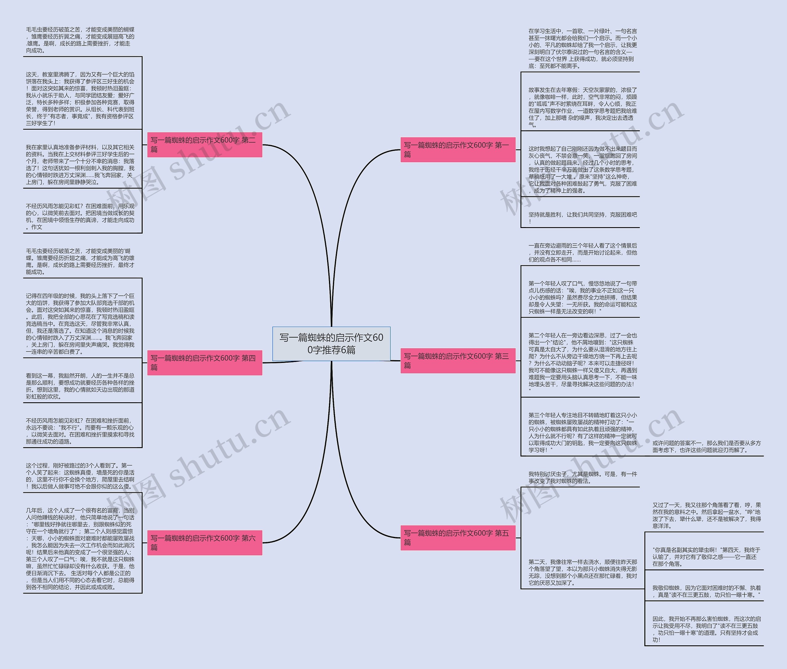 写一篇蜘蛛的启示作文600字推荐6篇思维导图