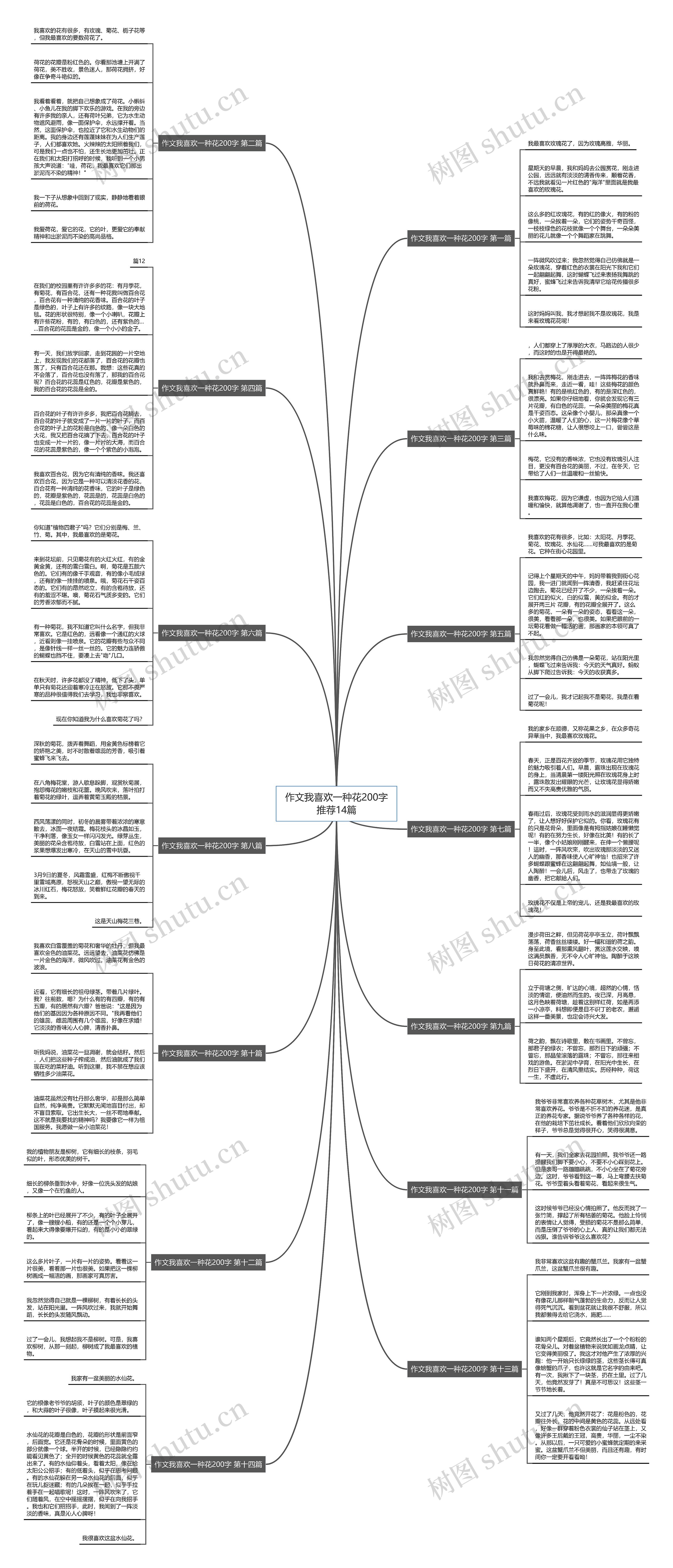 作文我喜欢一种花200字推荐14篇思维导图
