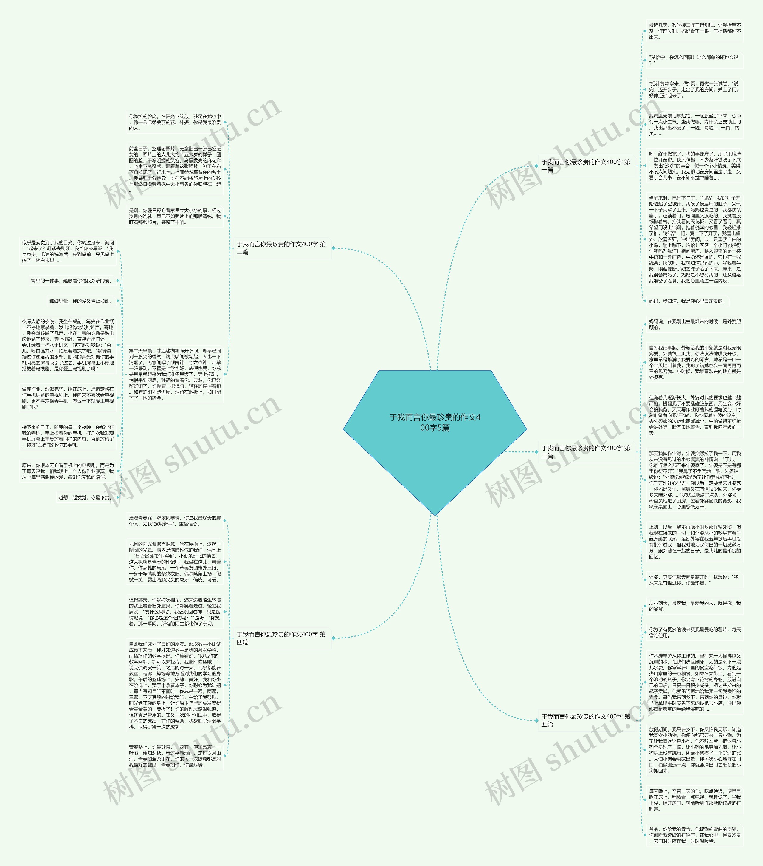 于我而言你最珍贵的作文400字5篇思维导图