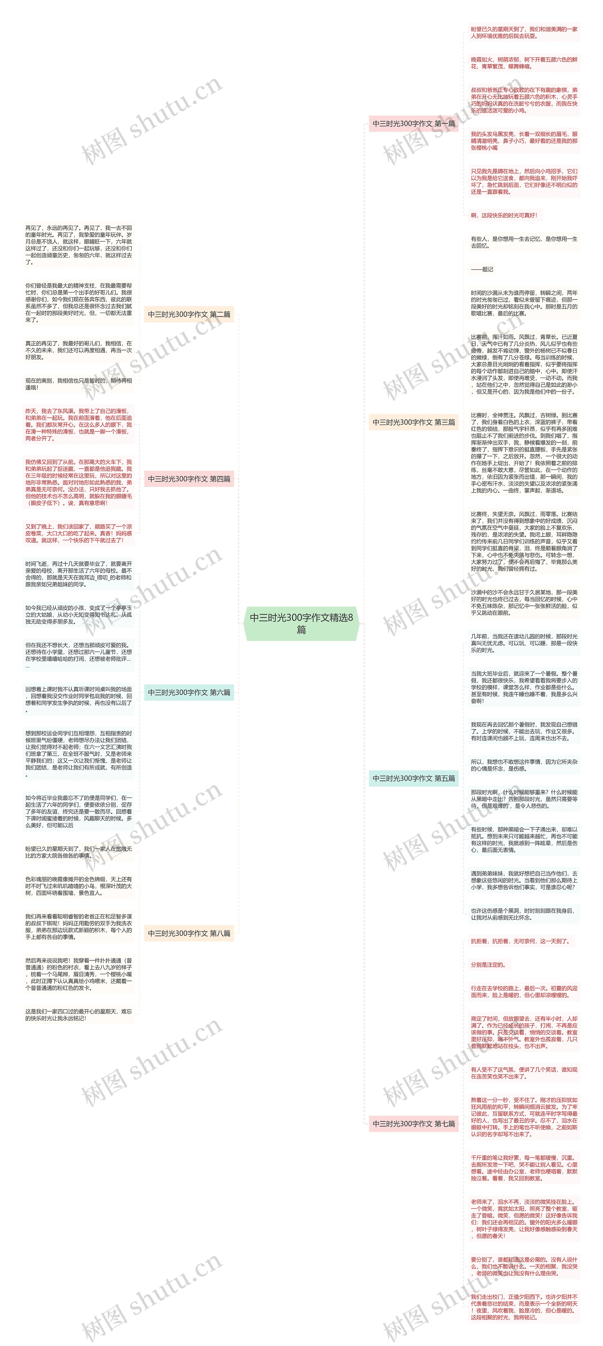 中三时光300字作文精选8篇思维导图