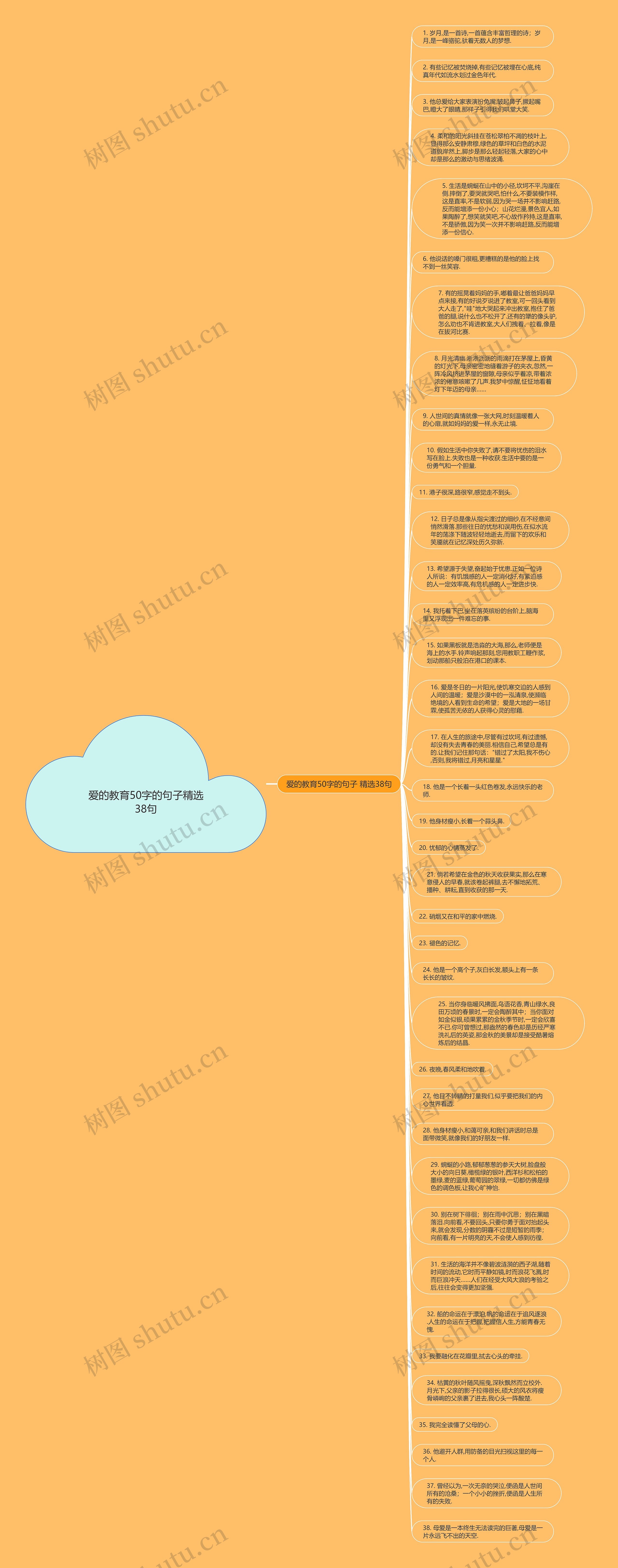 爱的教育50字的句子精选38句思维导图