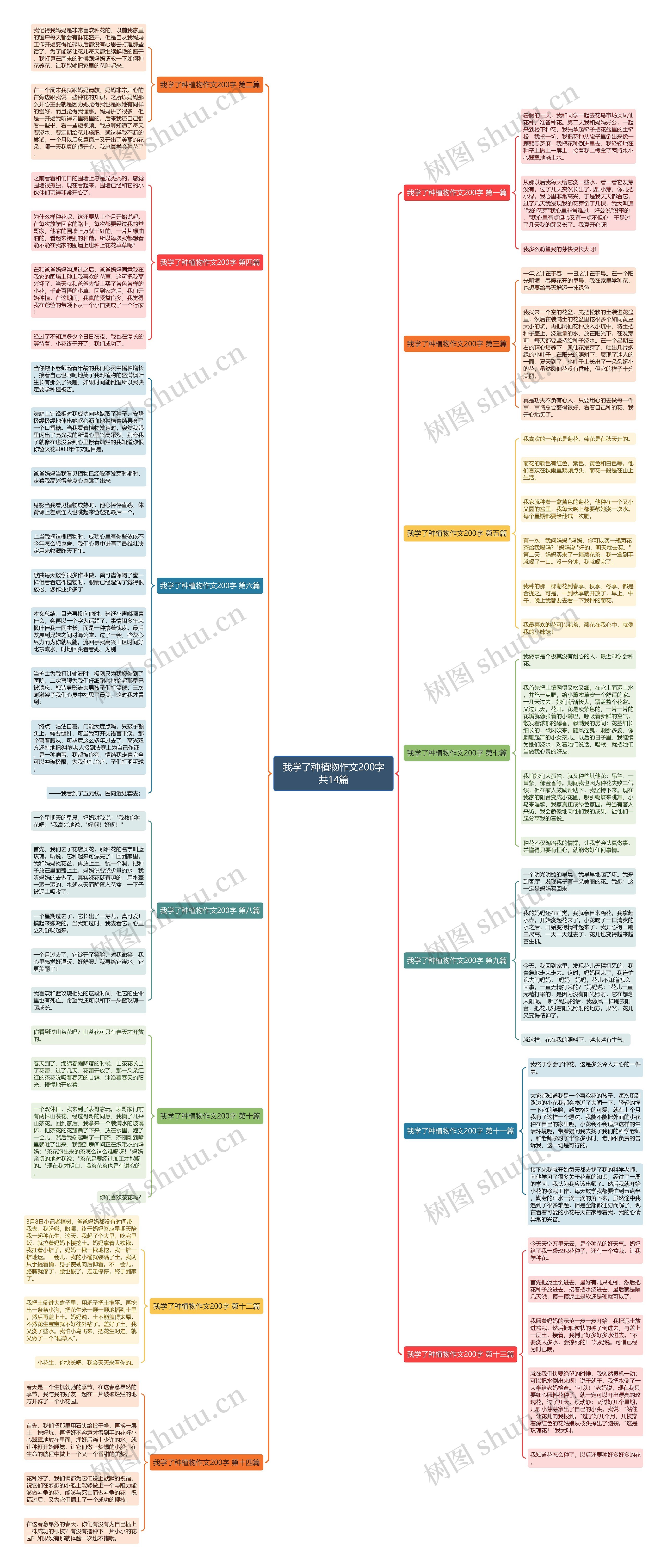 我学了种植物作文200字共14篇思维导图