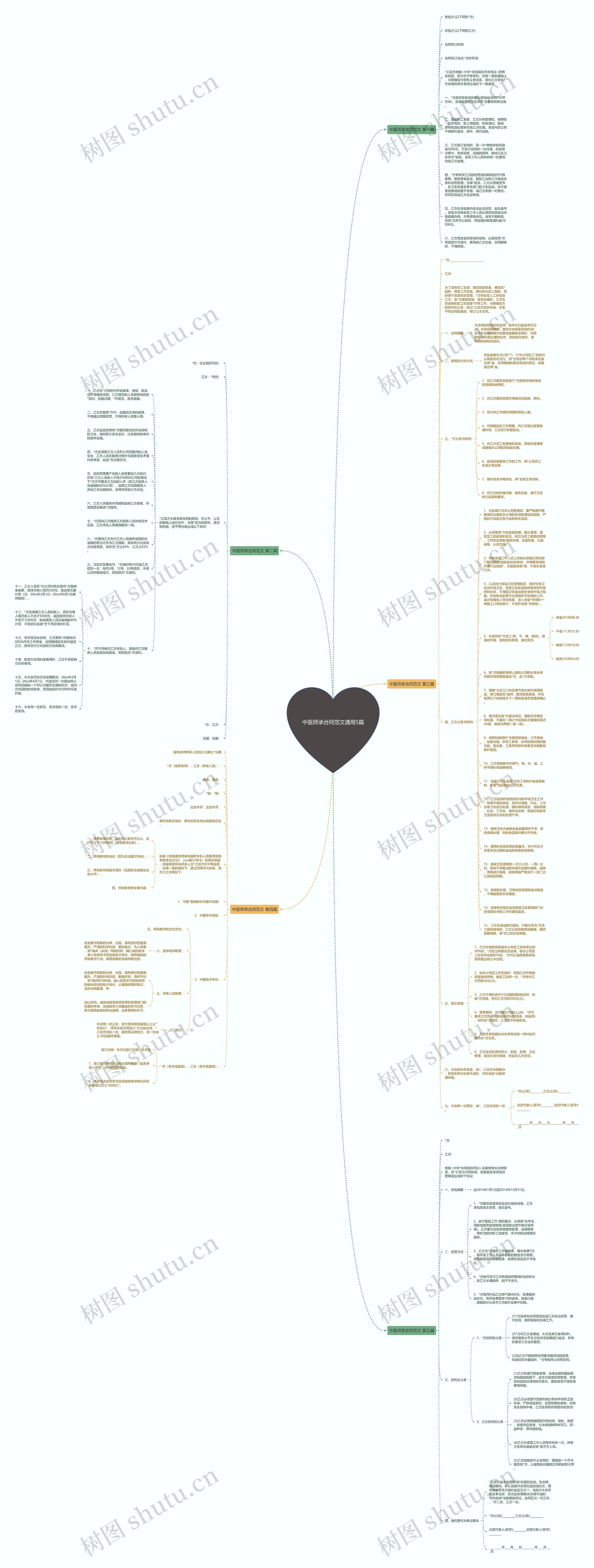 中医师承合同范文通用5篇思维导图