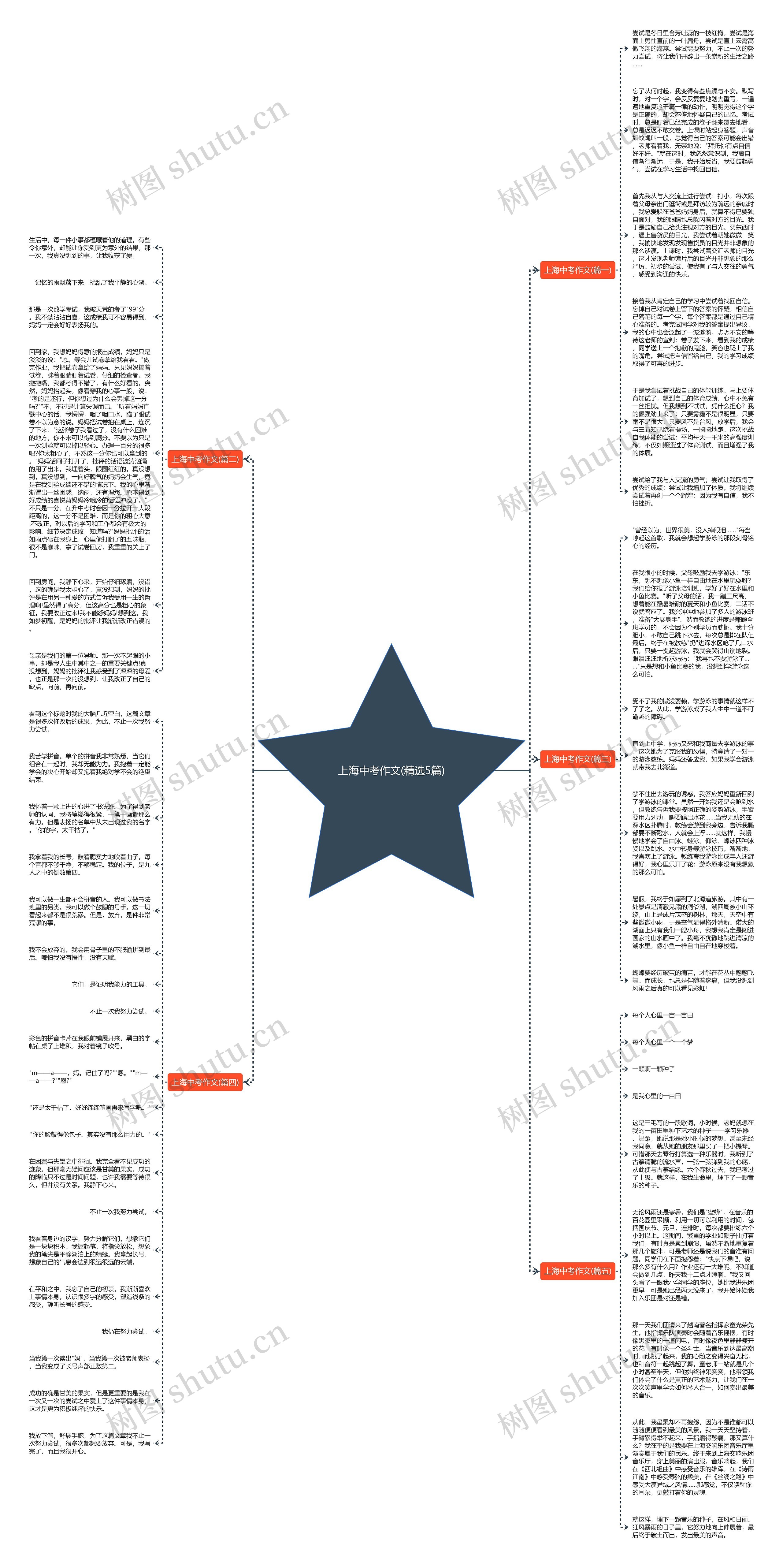 上海中考作文(精选5篇)思维导图