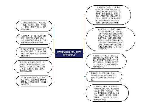 美文美句摘抄 赏析_(美文摘抄加赏析)