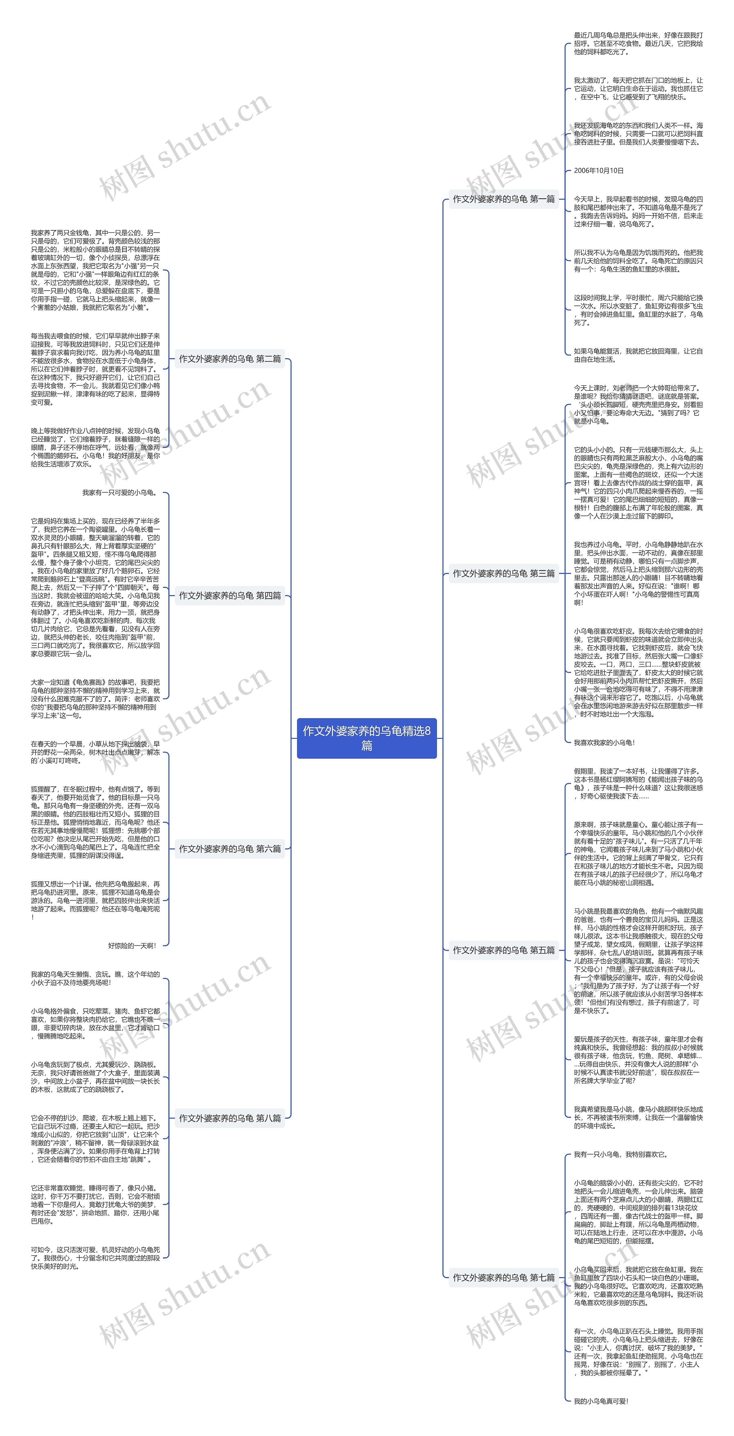 作文外婆家养的乌龟精选8篇思维导图