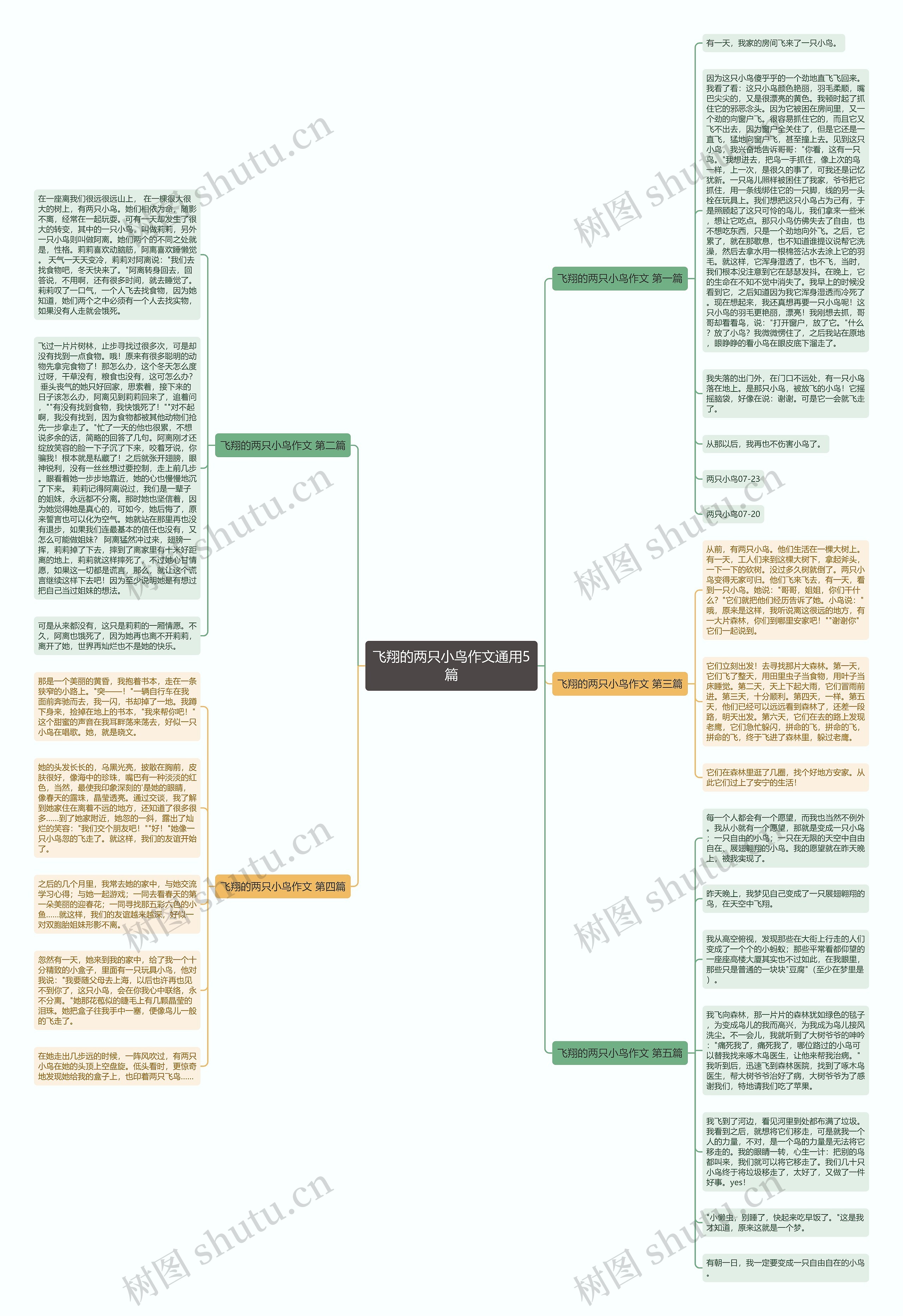 飞翔的两只小鸟作文通用5篇思维导图