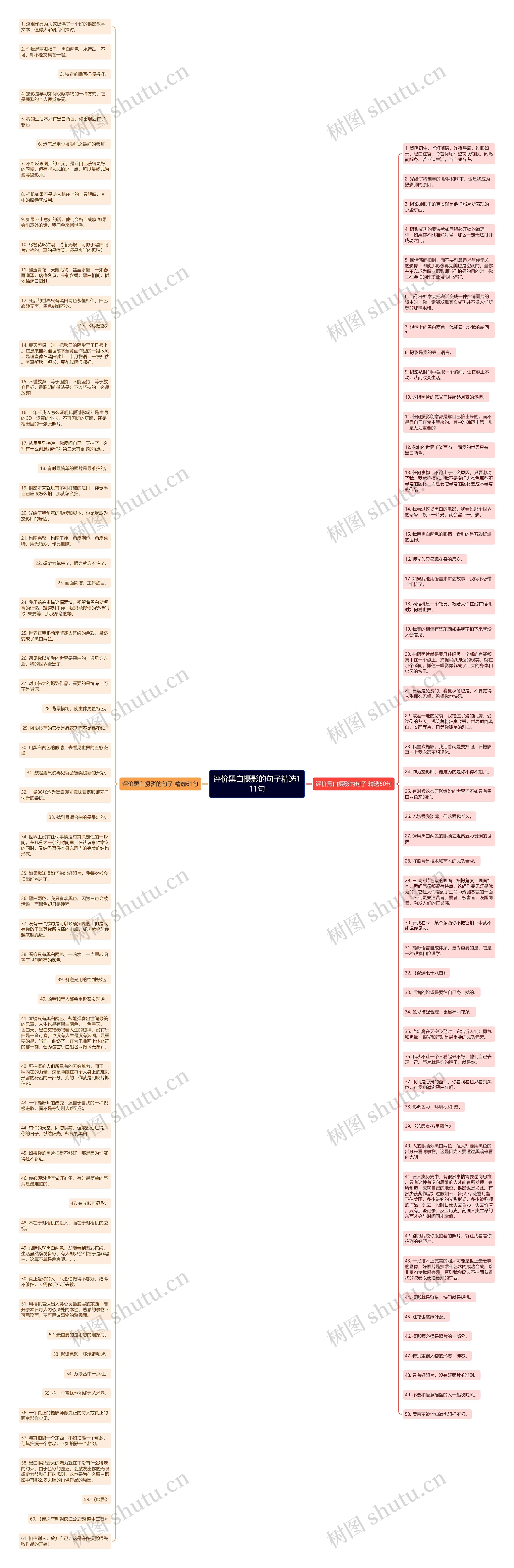 评价黑白摄影的句子精选111句思维导图