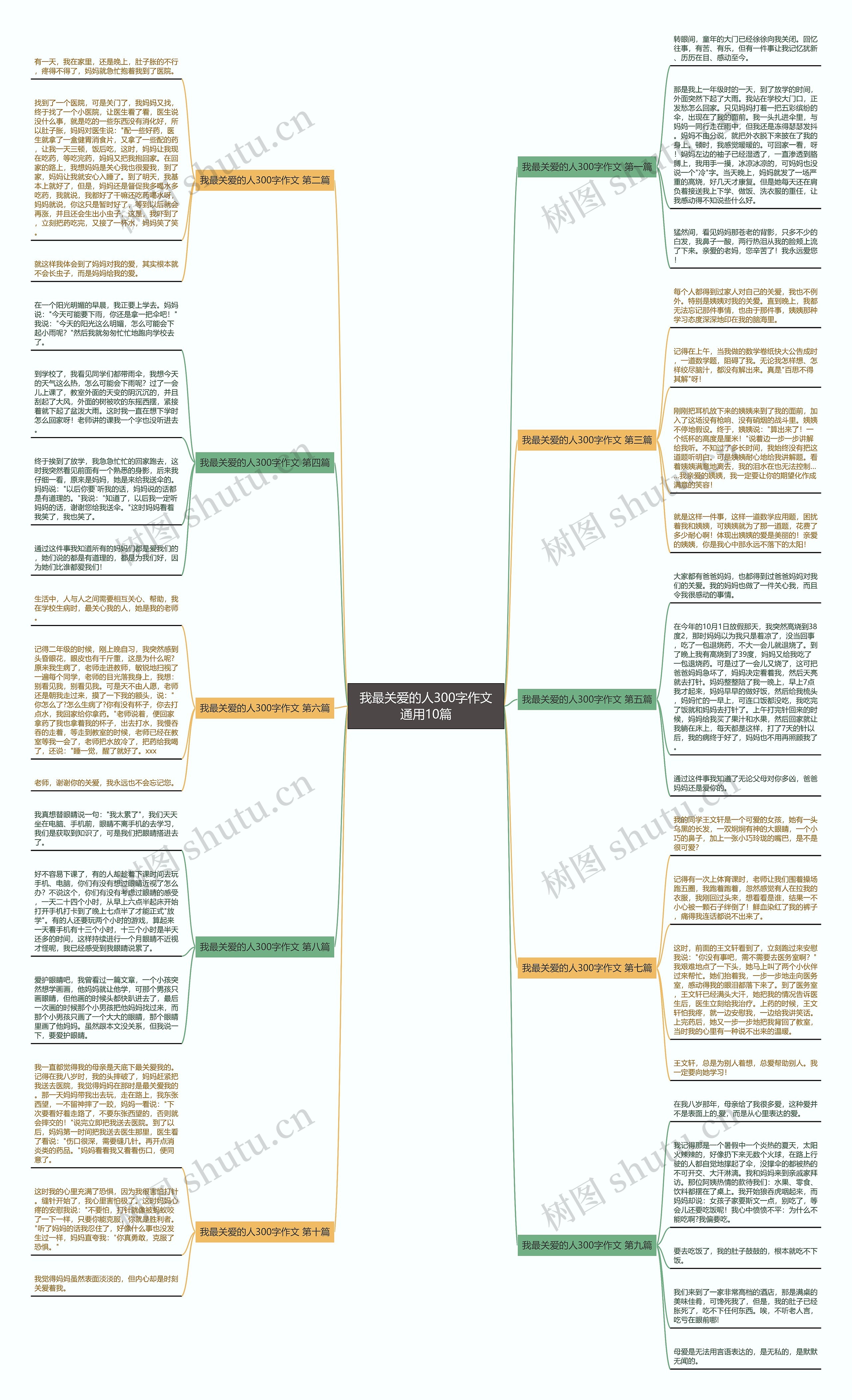我最关爱的人300字作文通用10篇 我最关爱的人300字作文通用10篇