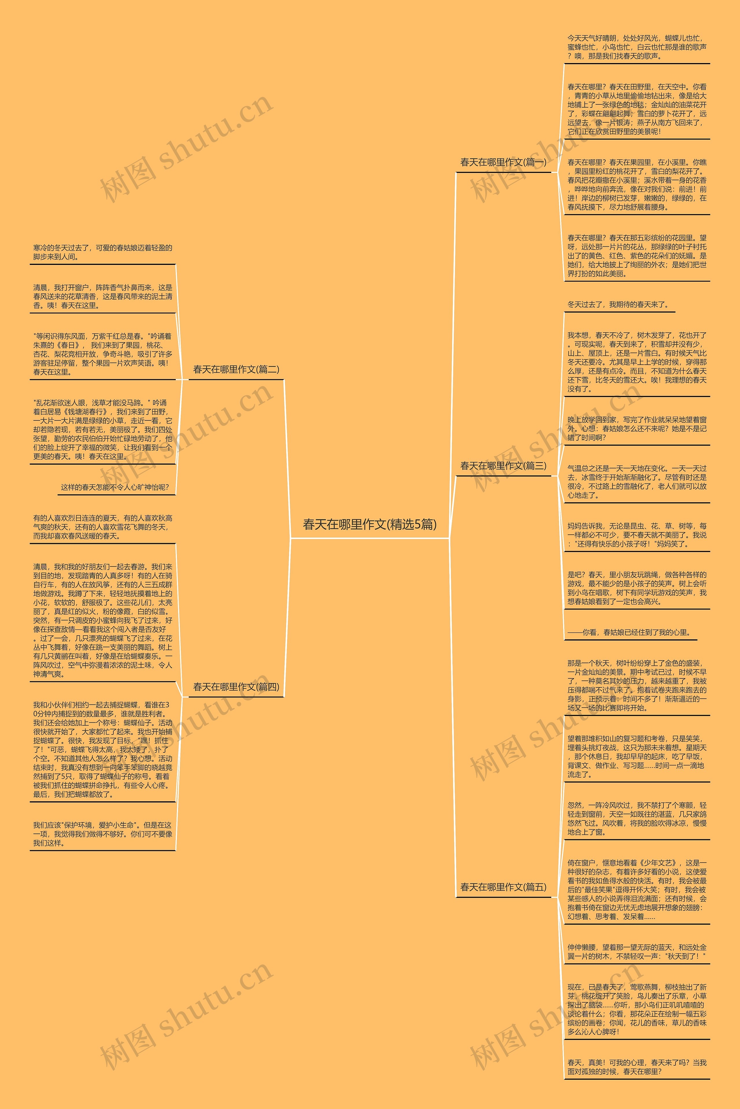 春天在哪里作文(精选5篇)思维导图