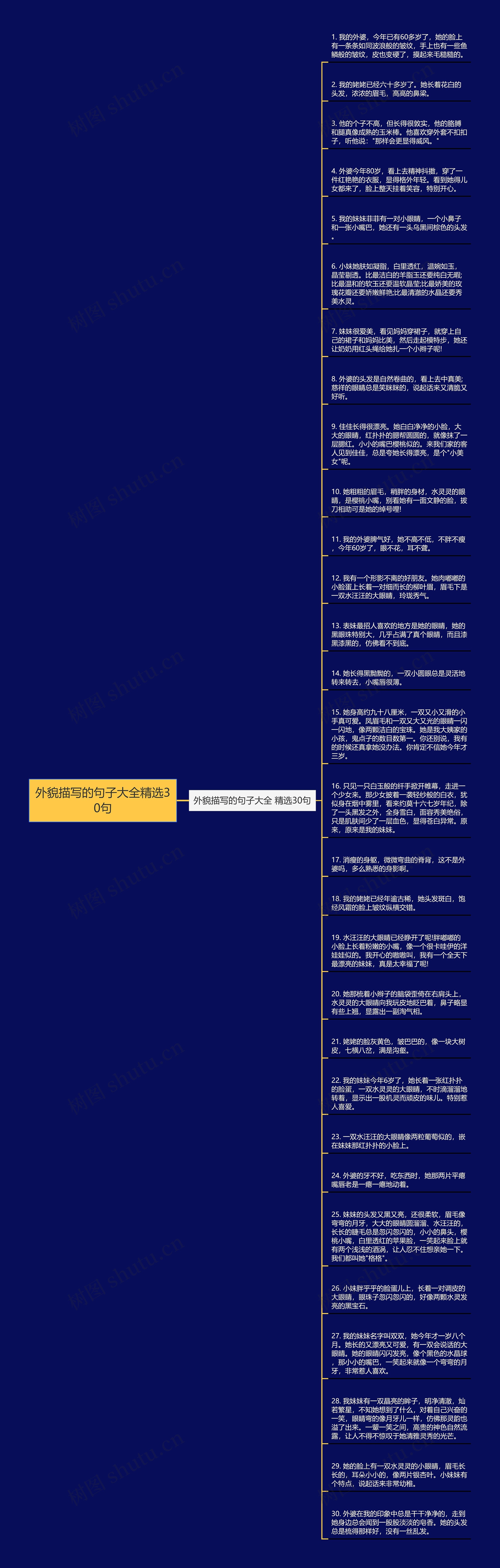 外貌描写的句子大全精选30句思维导图