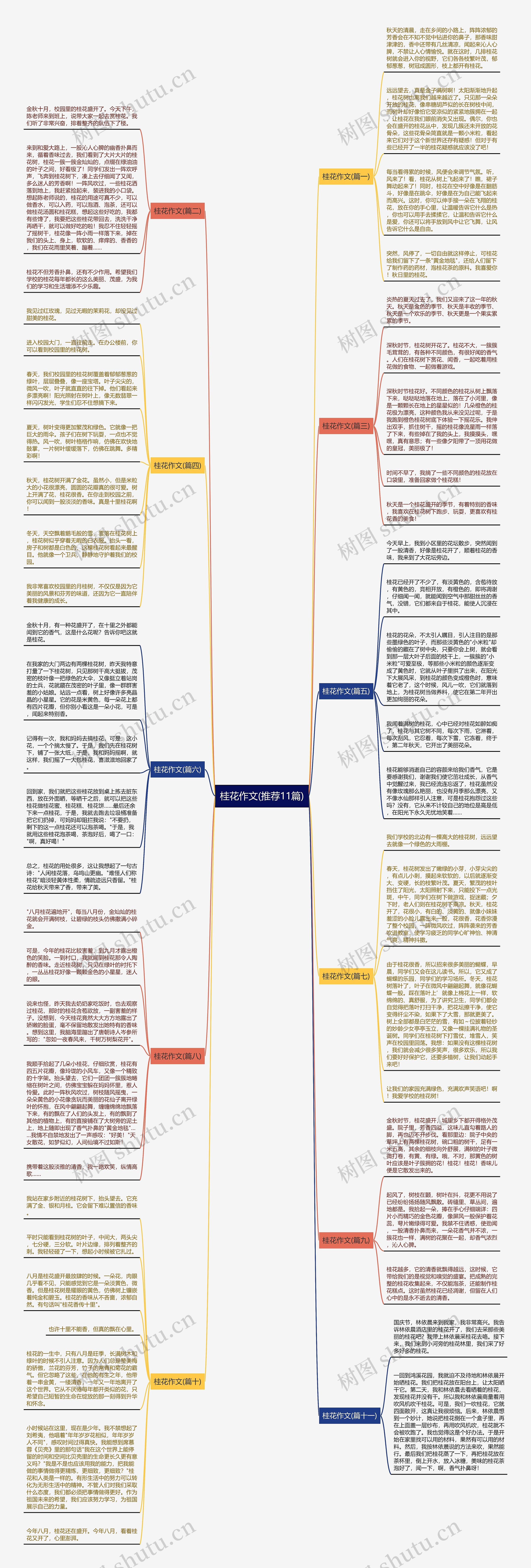 桂花作文(推荐11篇)思维导图