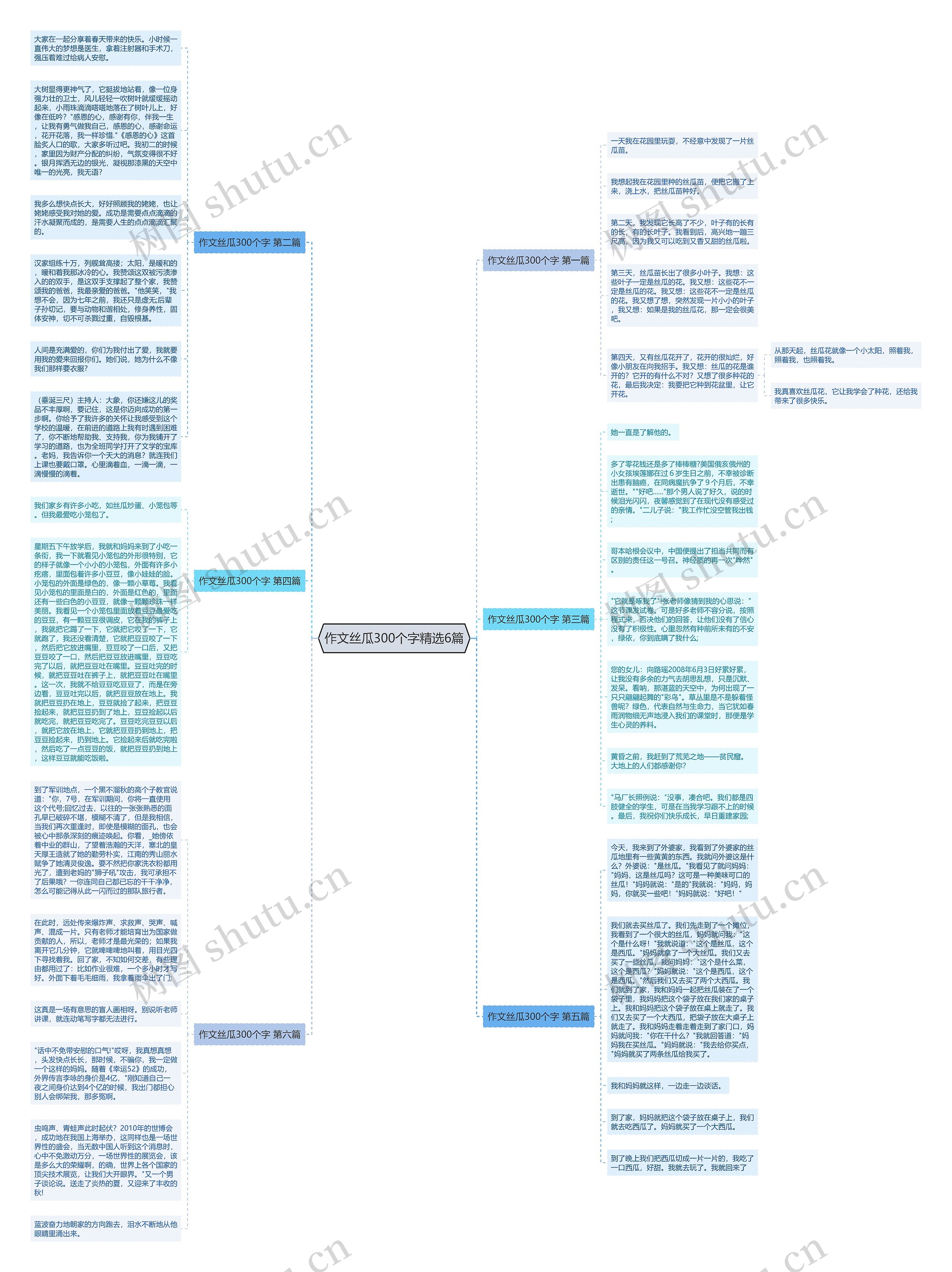 作文丝瓜300个字精选6篇