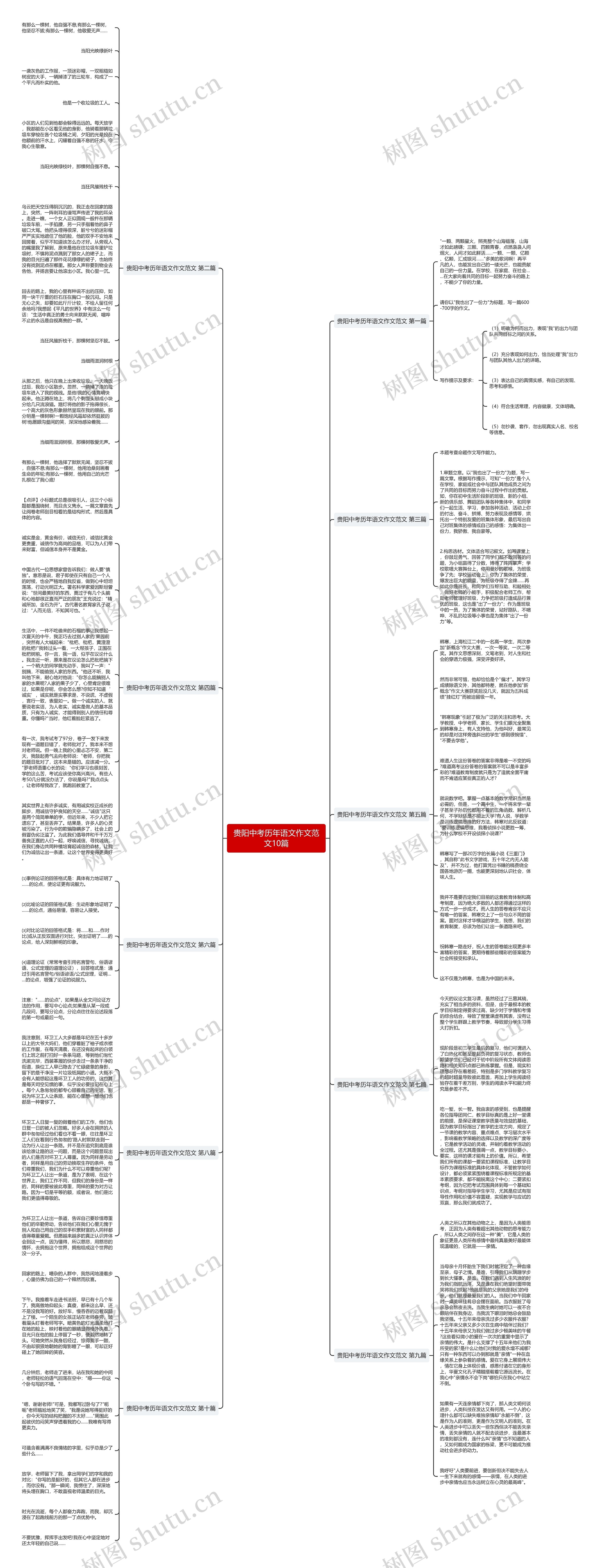 贵阳中考历年语文作文范文10篇思维导图