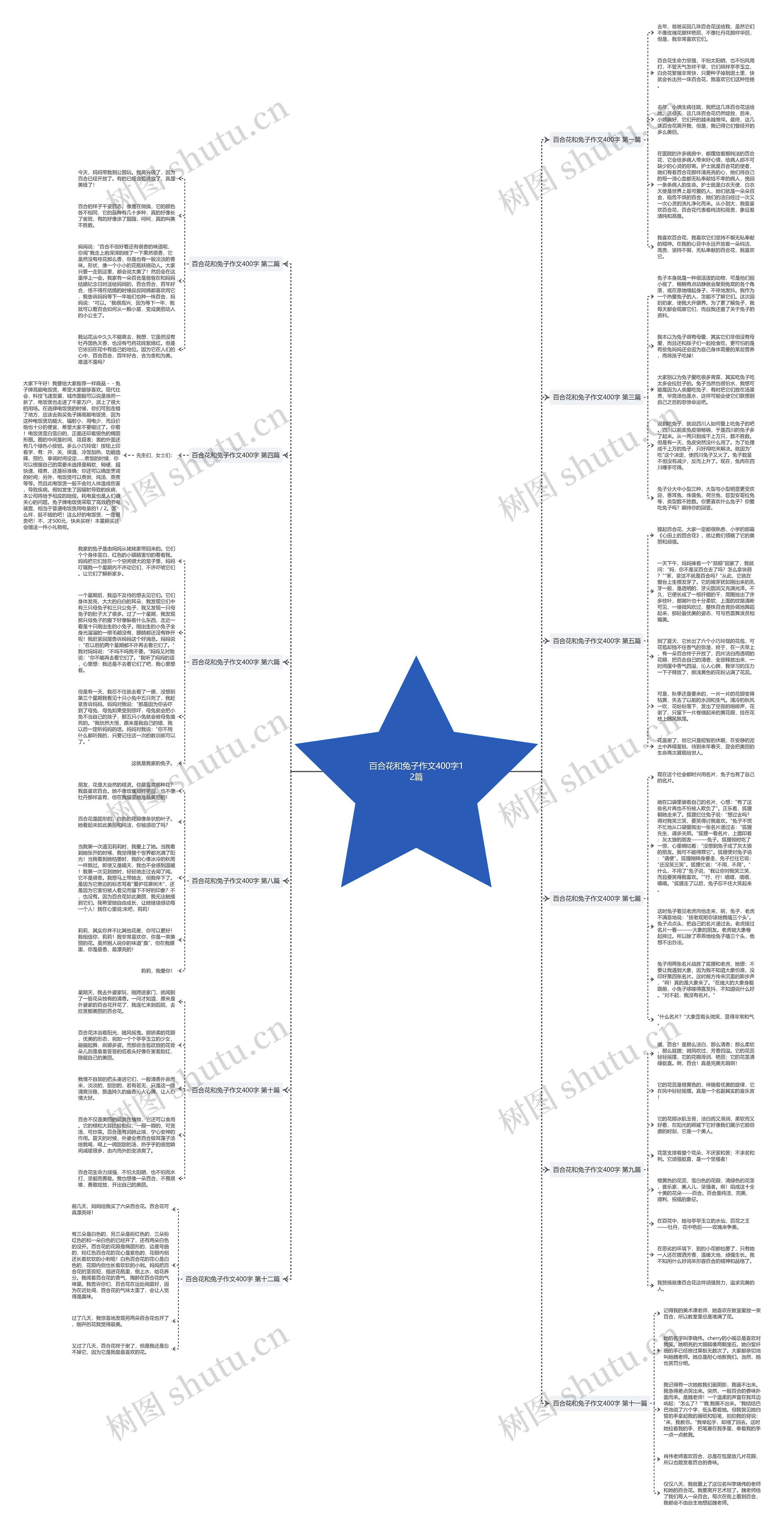 百合花和兔子作文400字12篇 百合花和兔子作文400字12篇