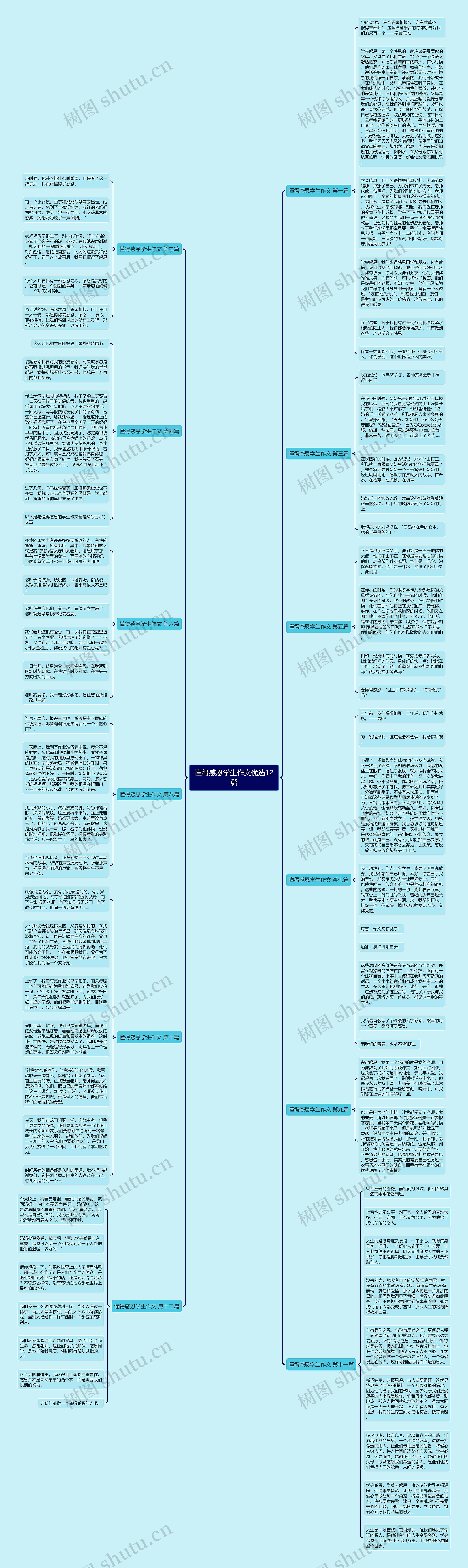 懂得感恩学生作文优选12篇思维导图