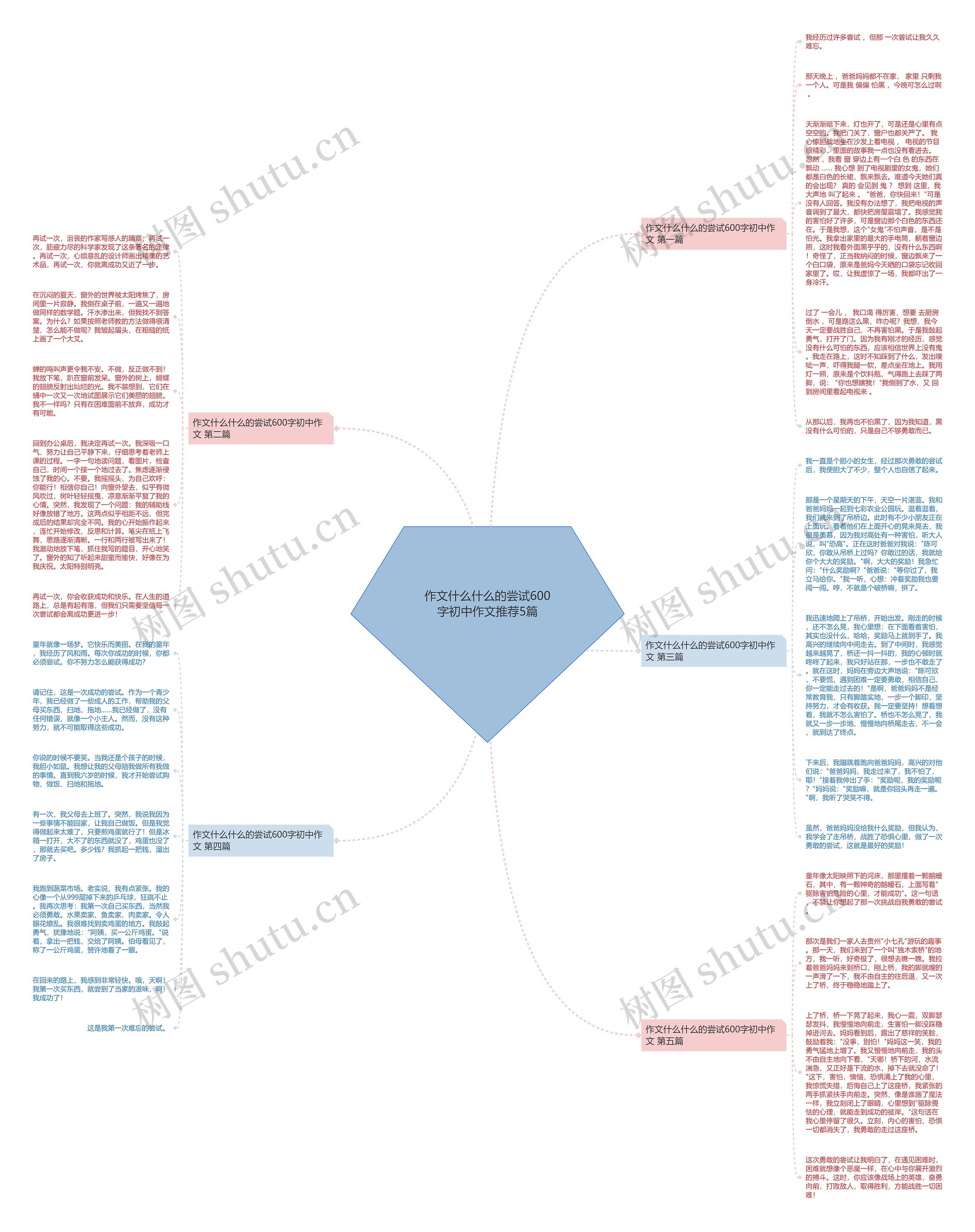 作文什么什么的尝试600字初中作文推荐5篇思维导图