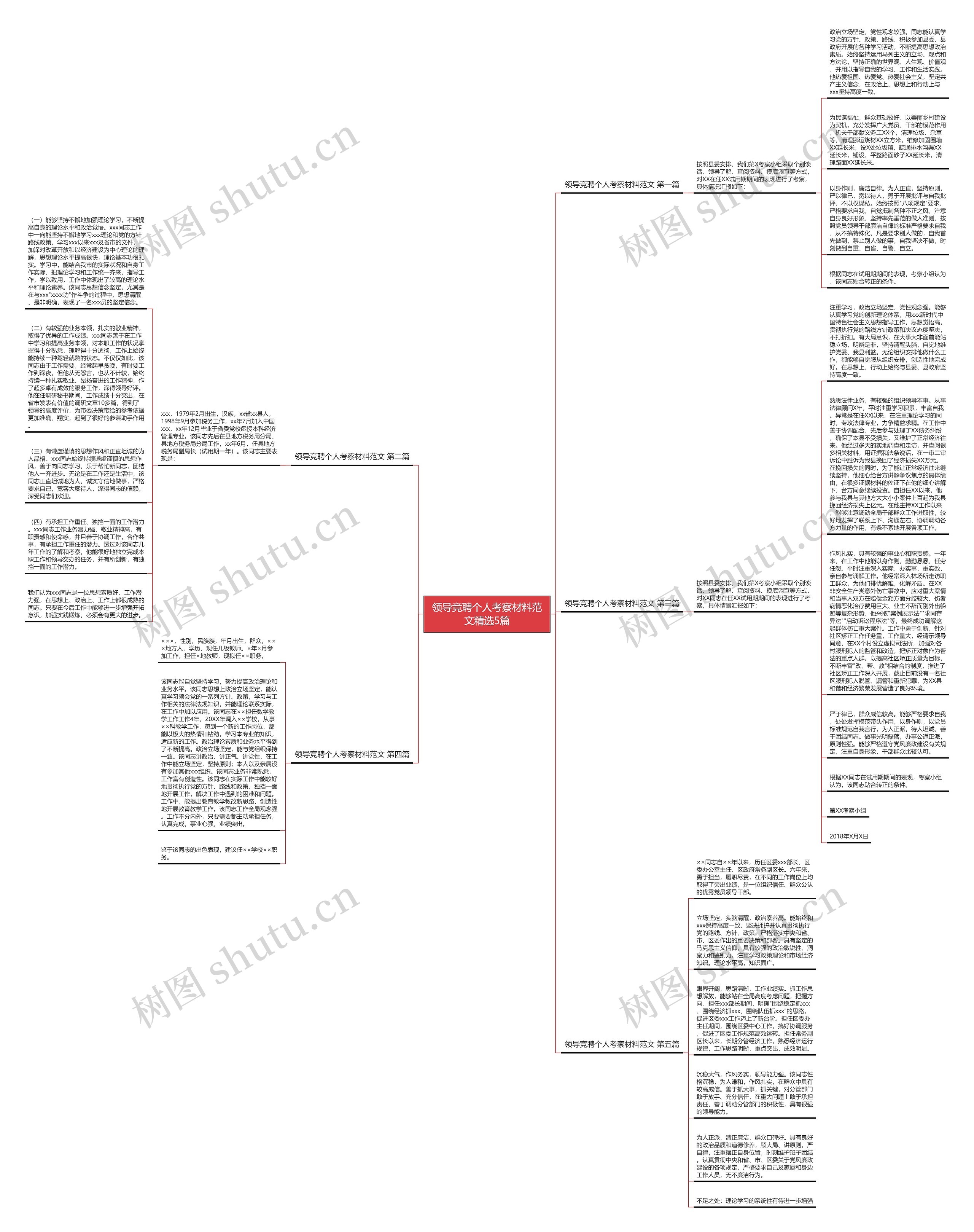 领导竞聘个人考察材料范文精选5篇思维导图