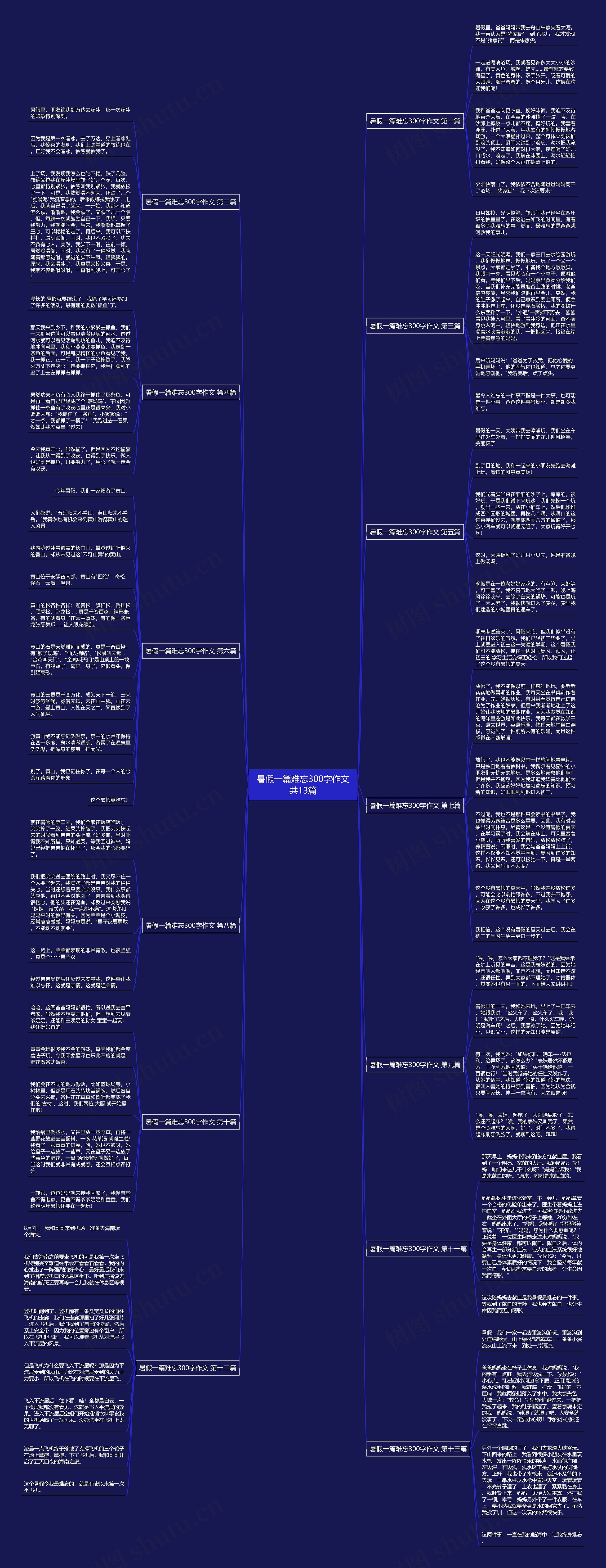 暑假一篇难忘300字作文共13篇思维导图