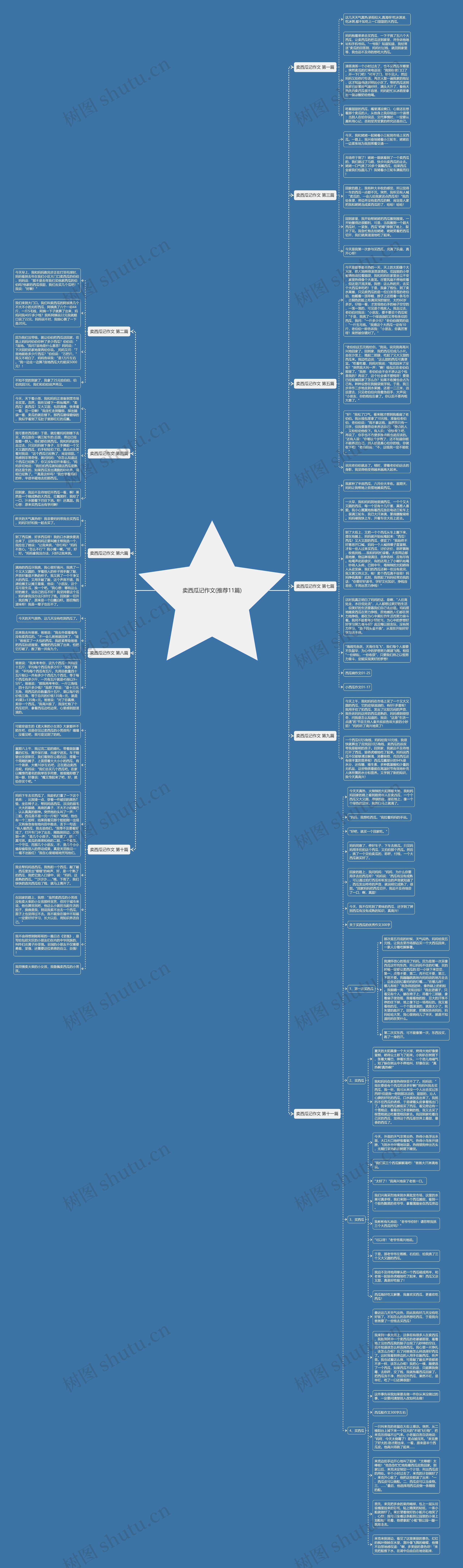 卖西瓜记作文(推荐11篇)思维导图