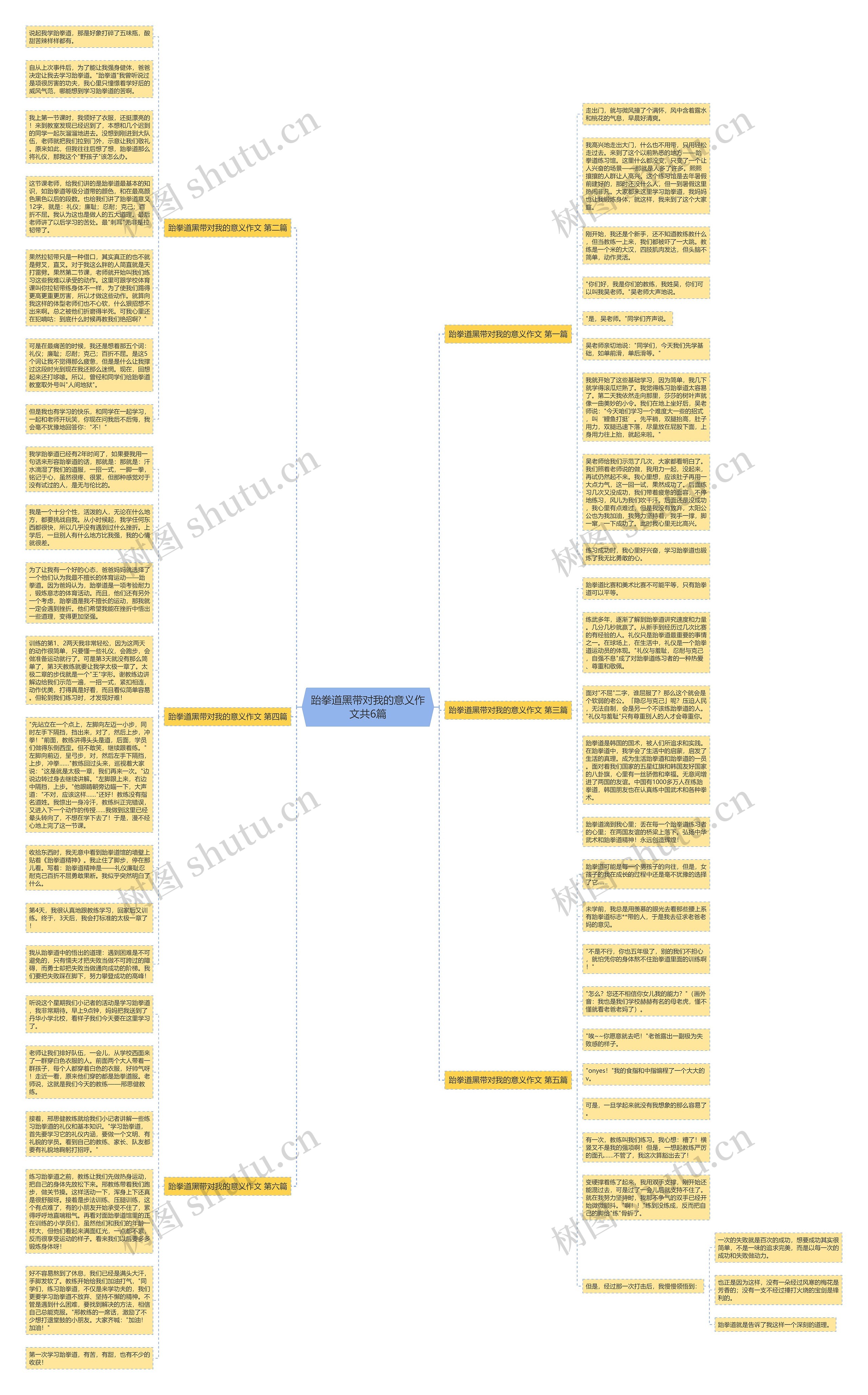 跆拳道黑带对我的意义作文共6篇思维导图