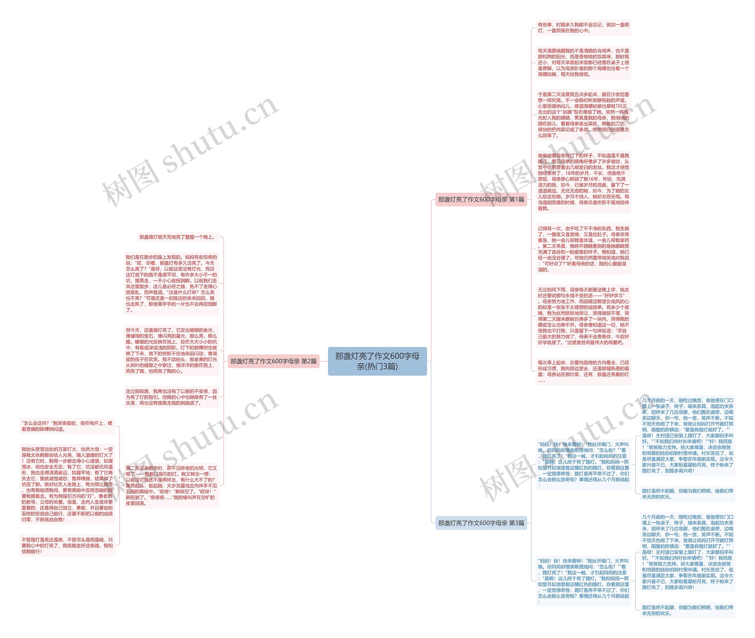 那盏灯亮了作文600字母亲(热门3篇)思维导图