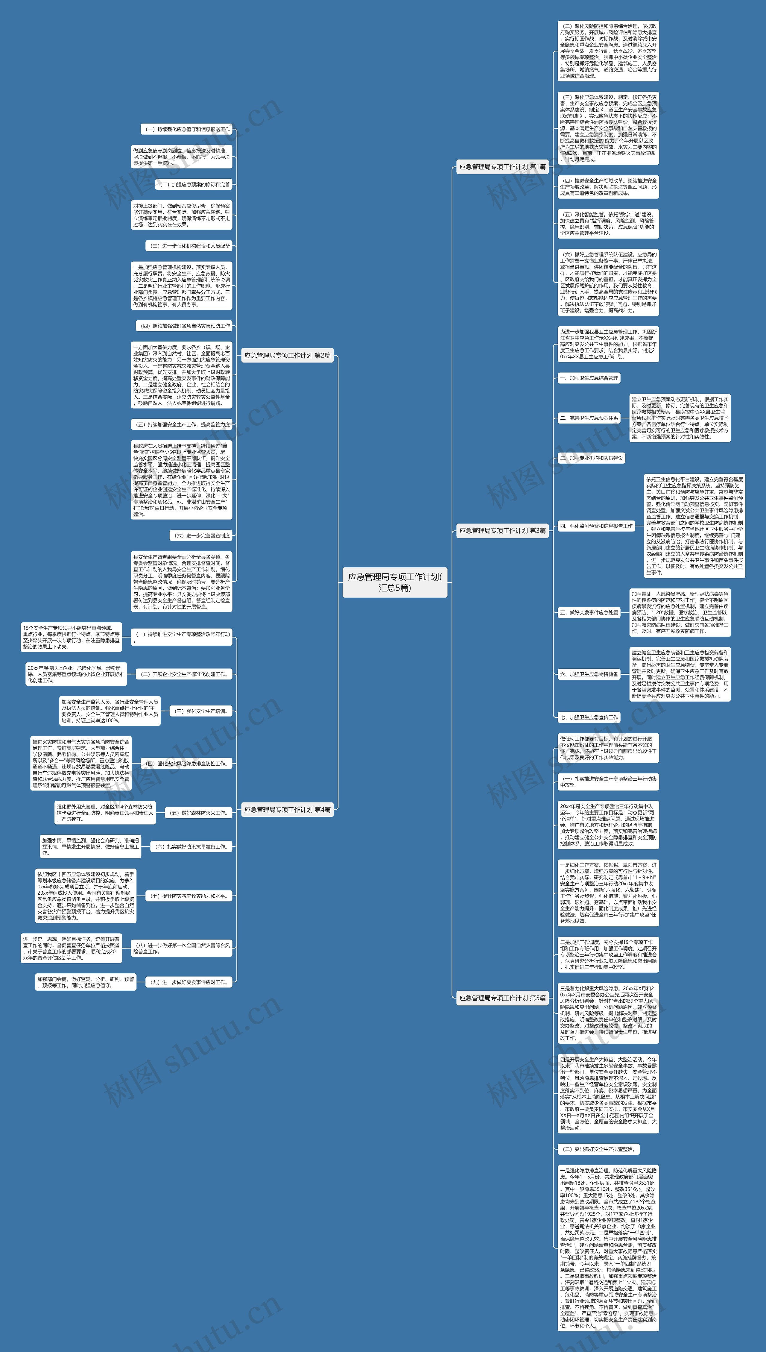 应急管理局专项工作计划(汇总5篇)