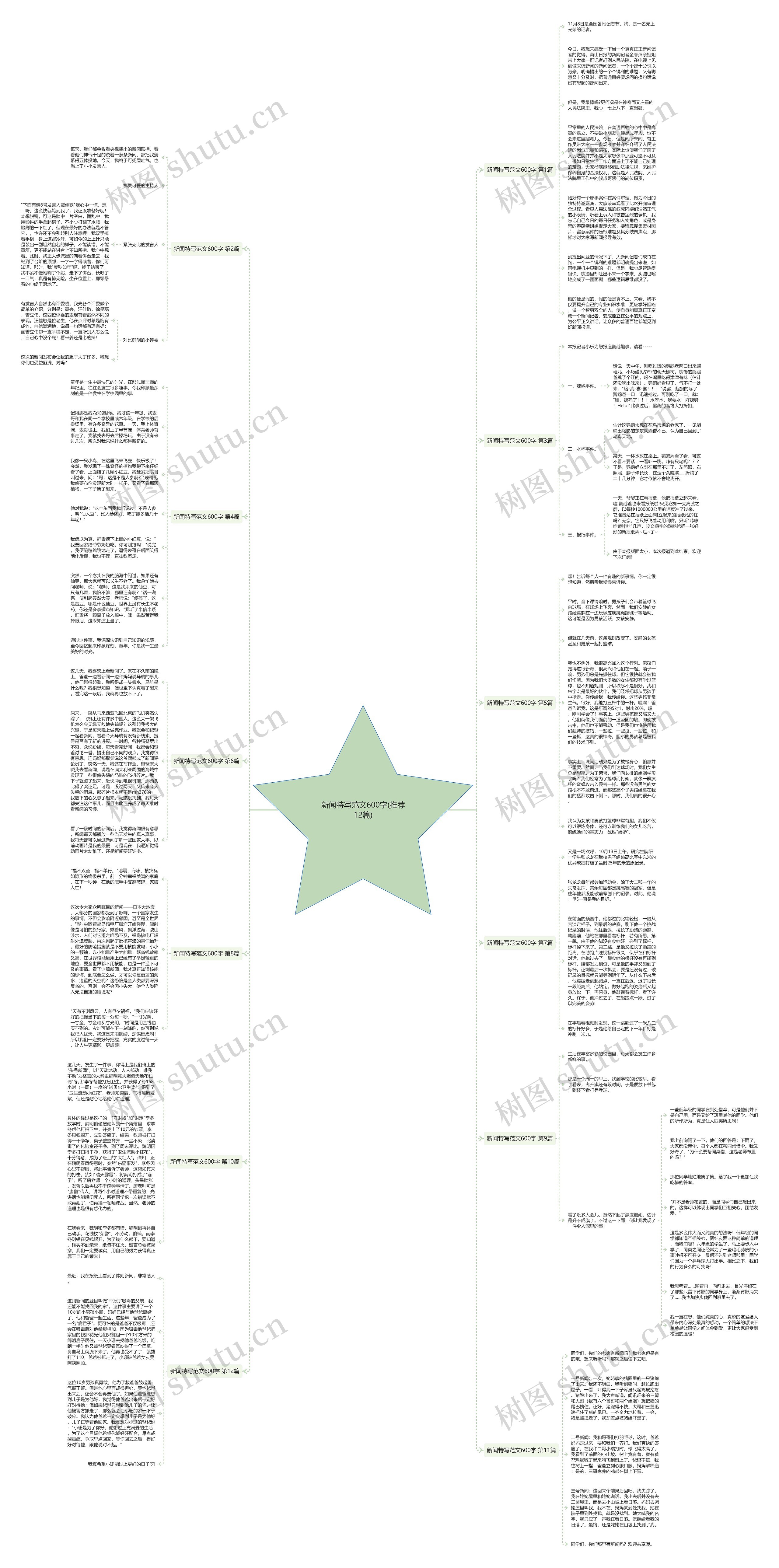 新闻特写范文600字(推荐12篇)思维导图