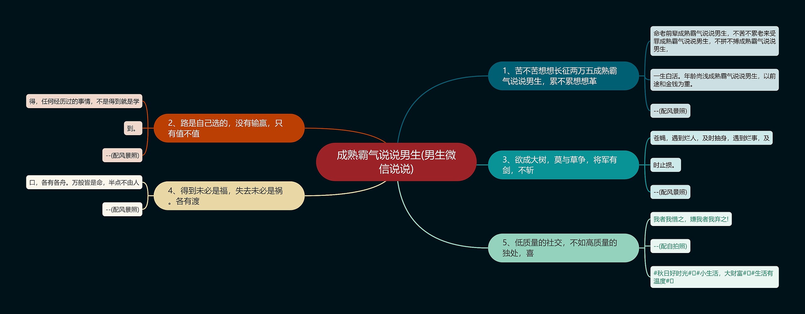 成熟霸气说说男生(男生微信说说)思维导图