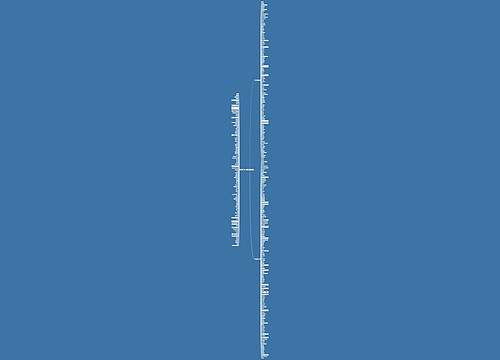 qq分组的句子精选318句