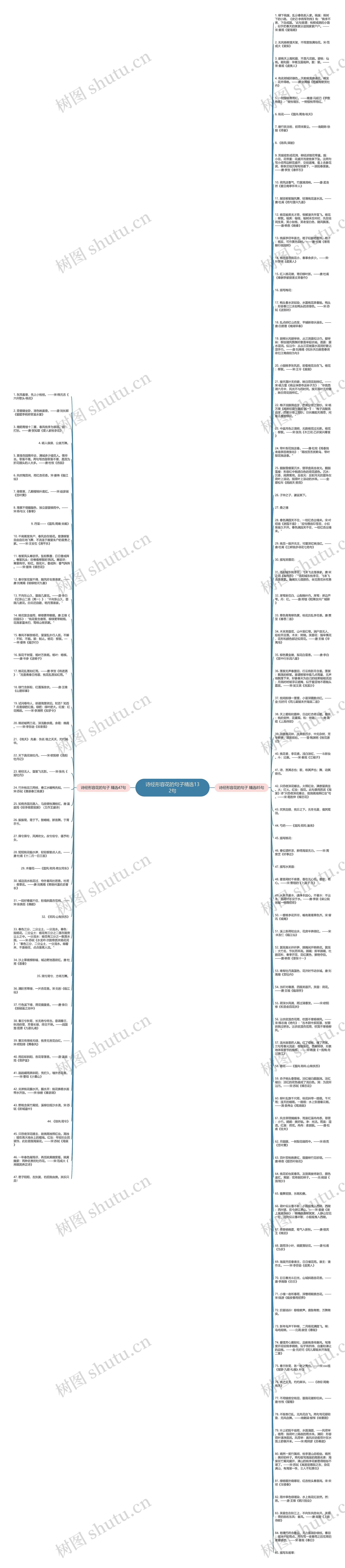 诗经形容花的句子精选132句思维导图