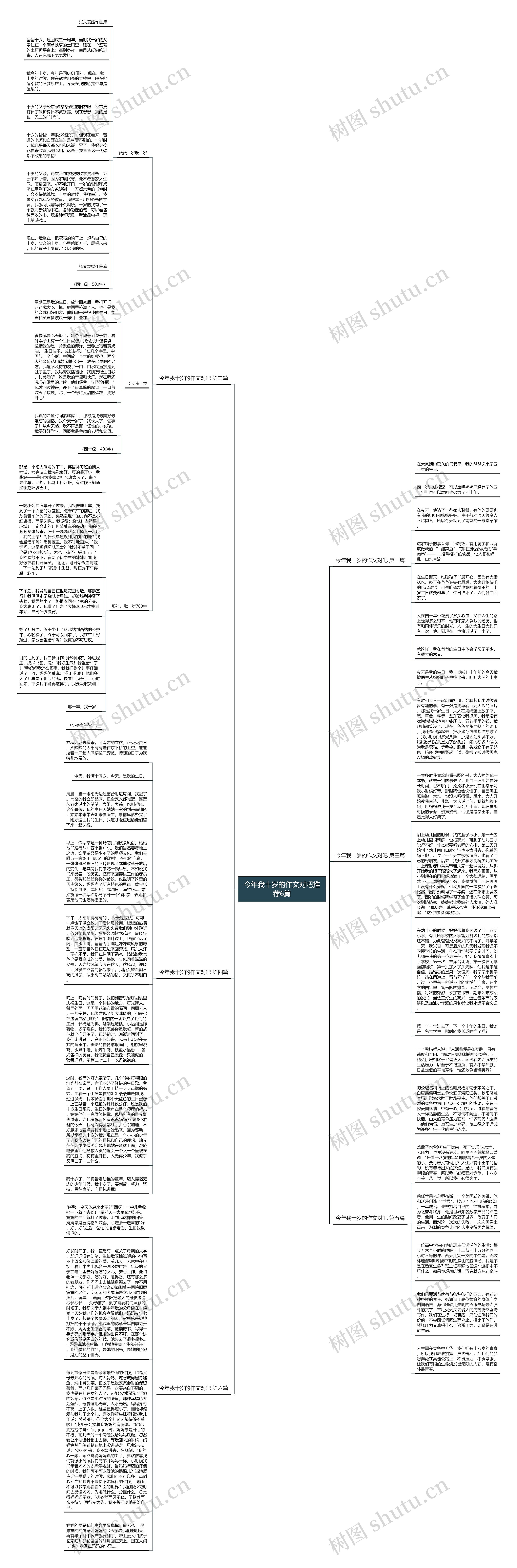 今年我十岁的作文对吧推荐6篇思维导图