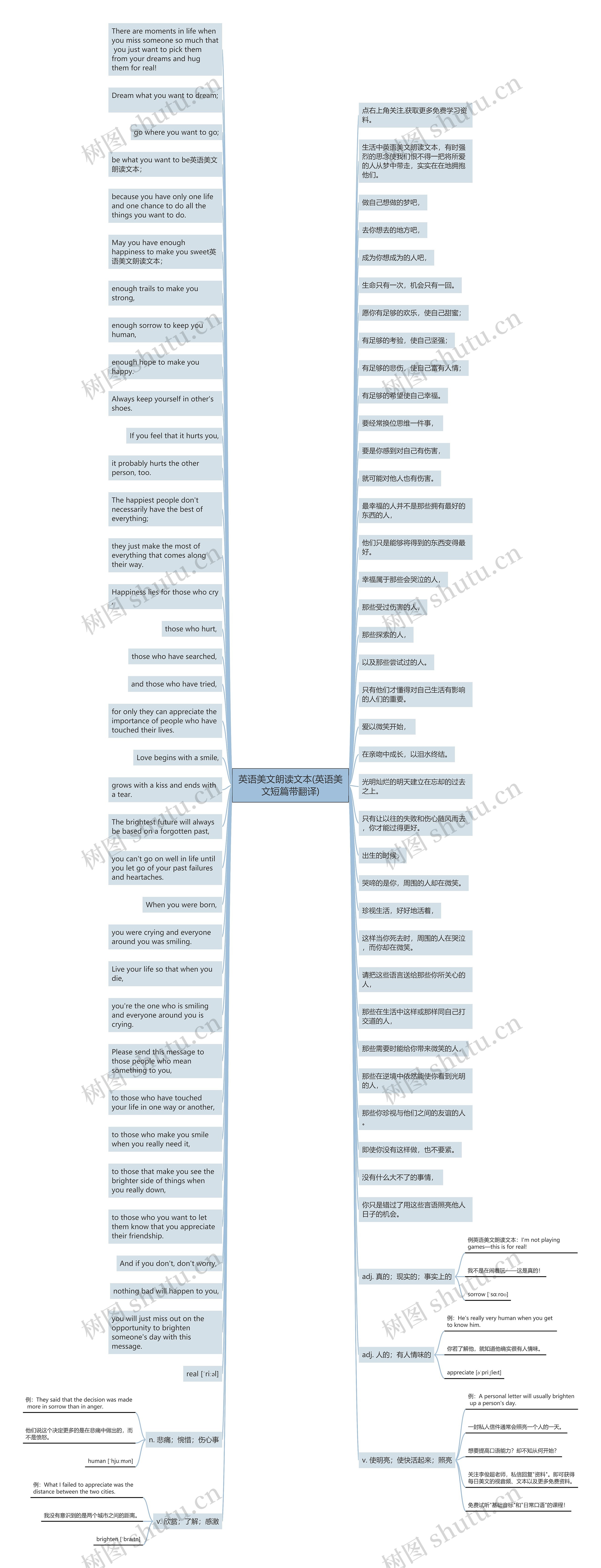 英语美文朗读文本(英语美文短篇带翻译)