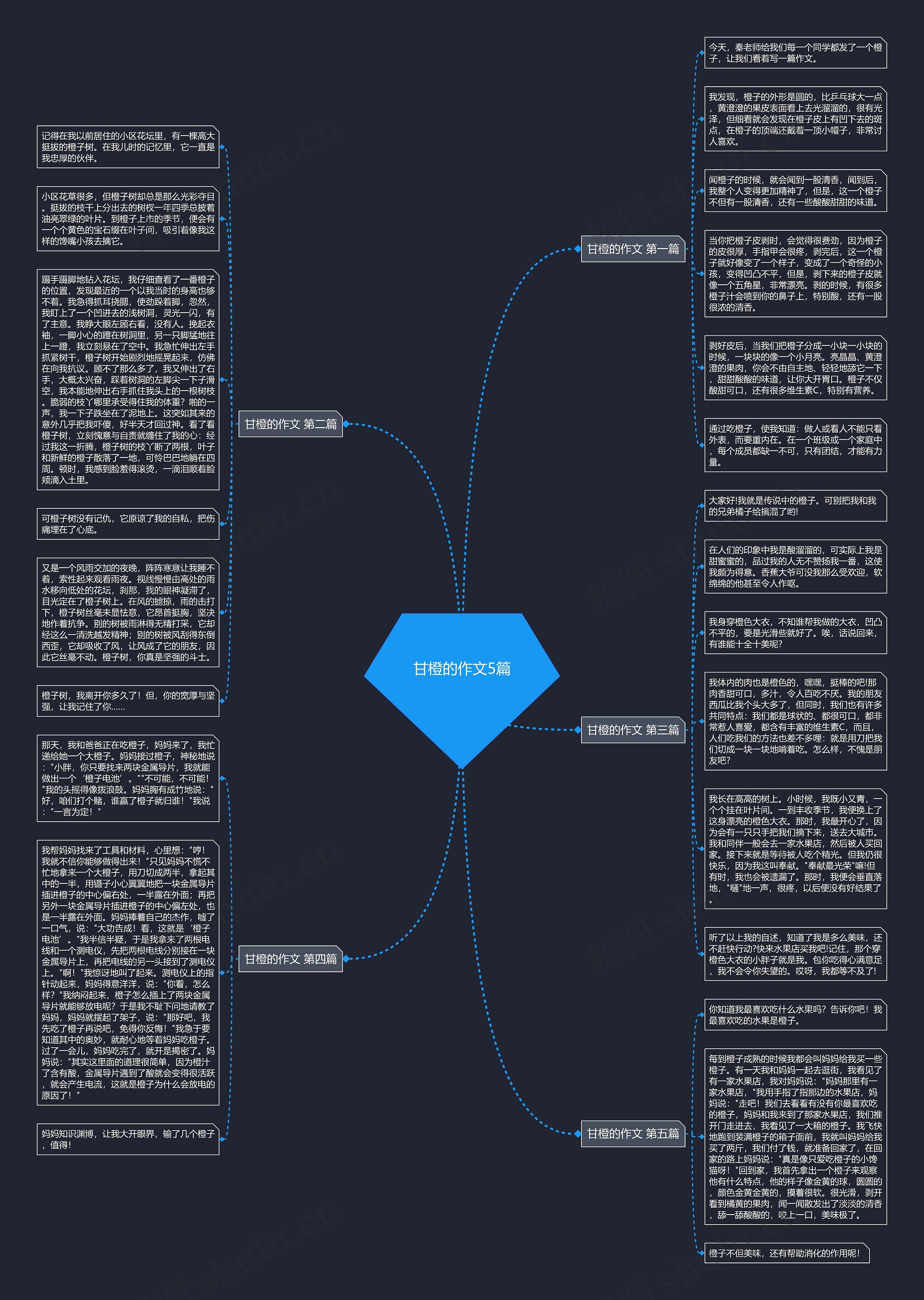 甘橙的作文5篇思维导图