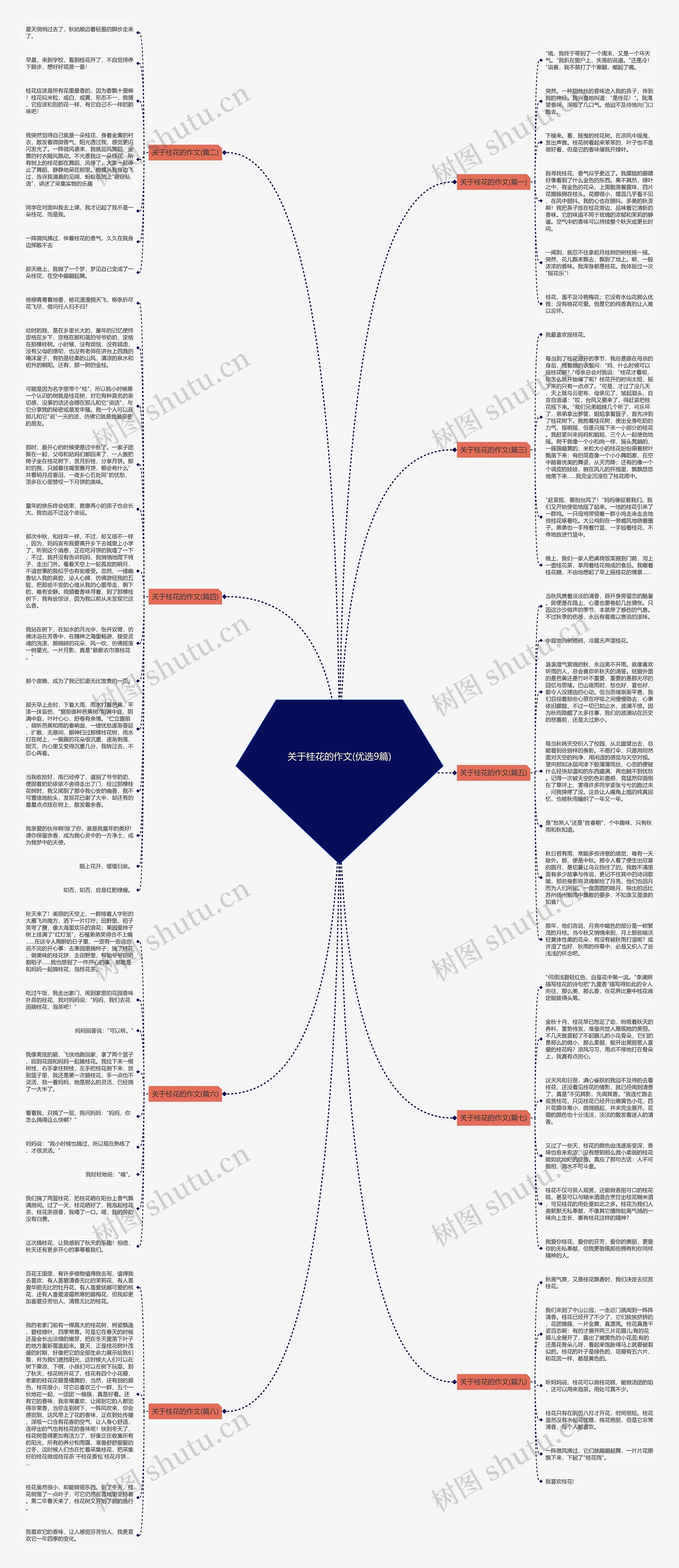 关于桂花的作文(优选9篇)思维导图