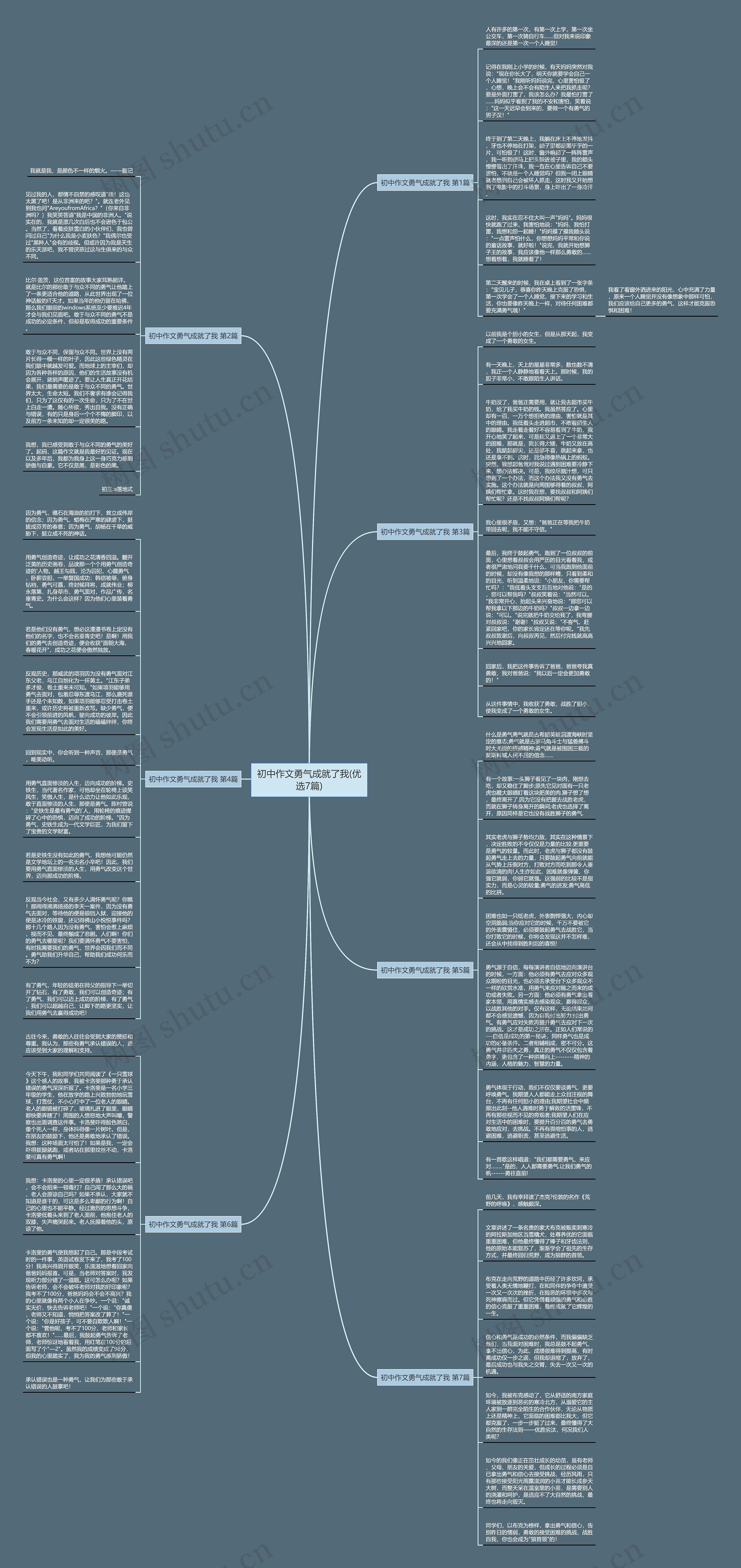 初中作文勇气成就了我(优选7篇)思维导图