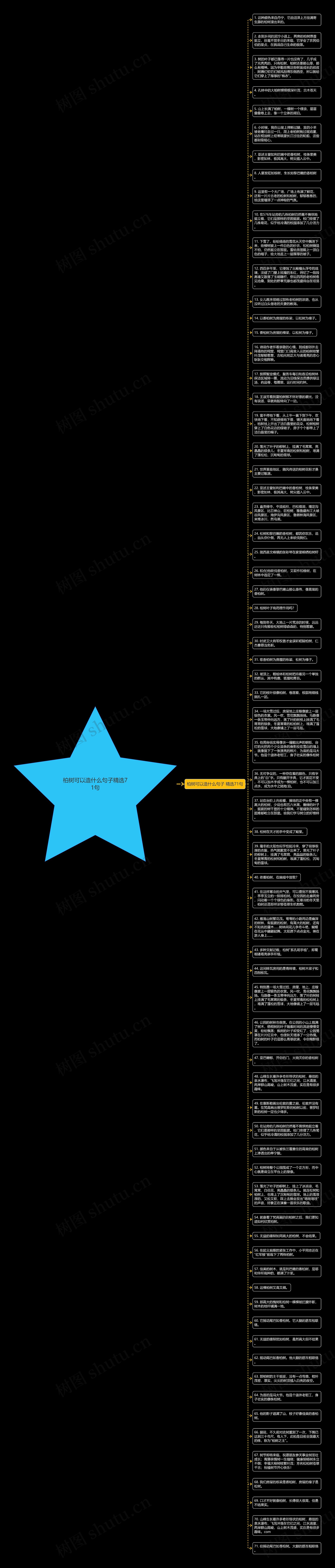 柏树可以造什么句子精选71句思维导图