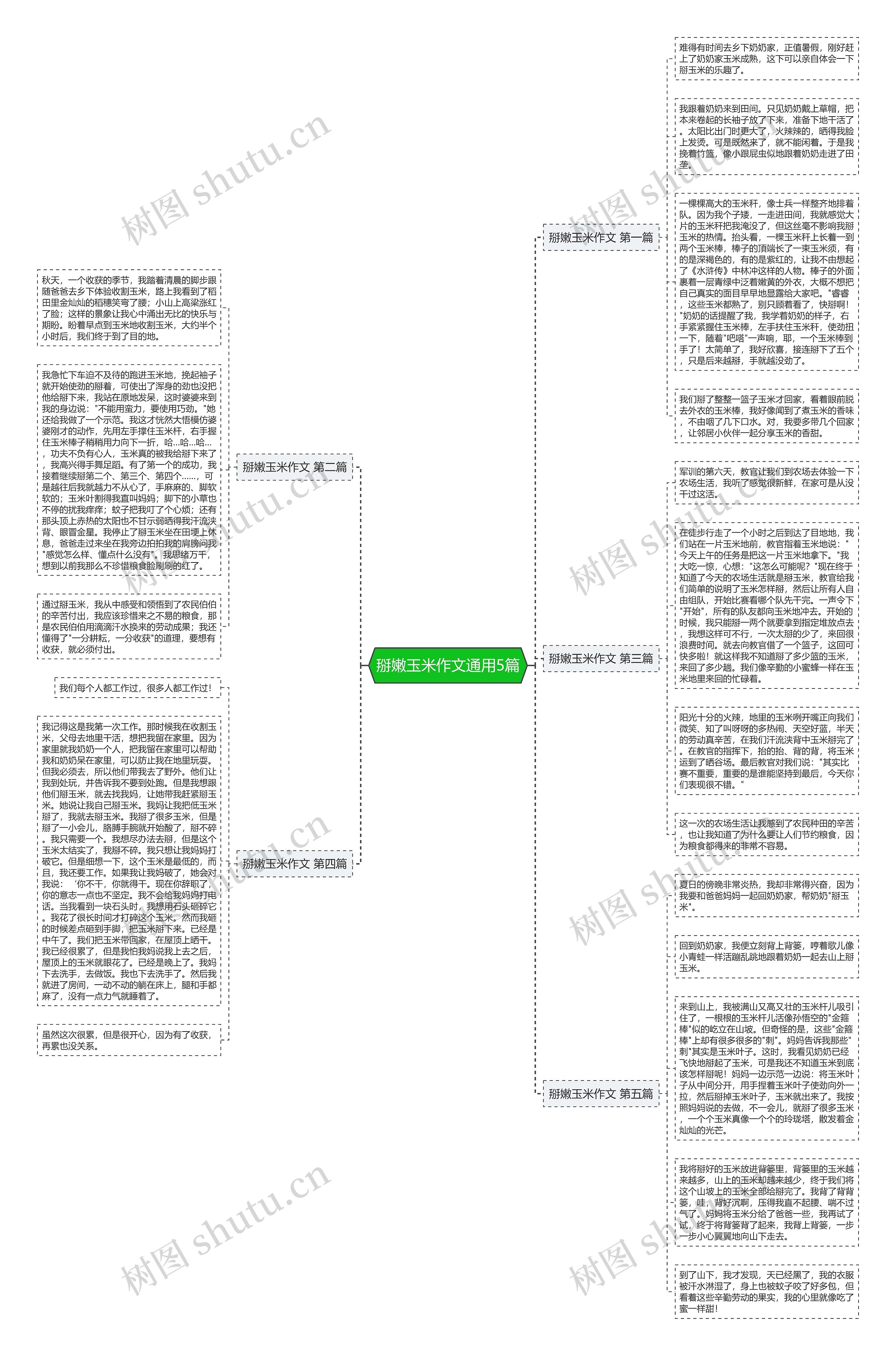 掰嫩玉米作文通用5篇 掰嫩玉米作文通用5篇