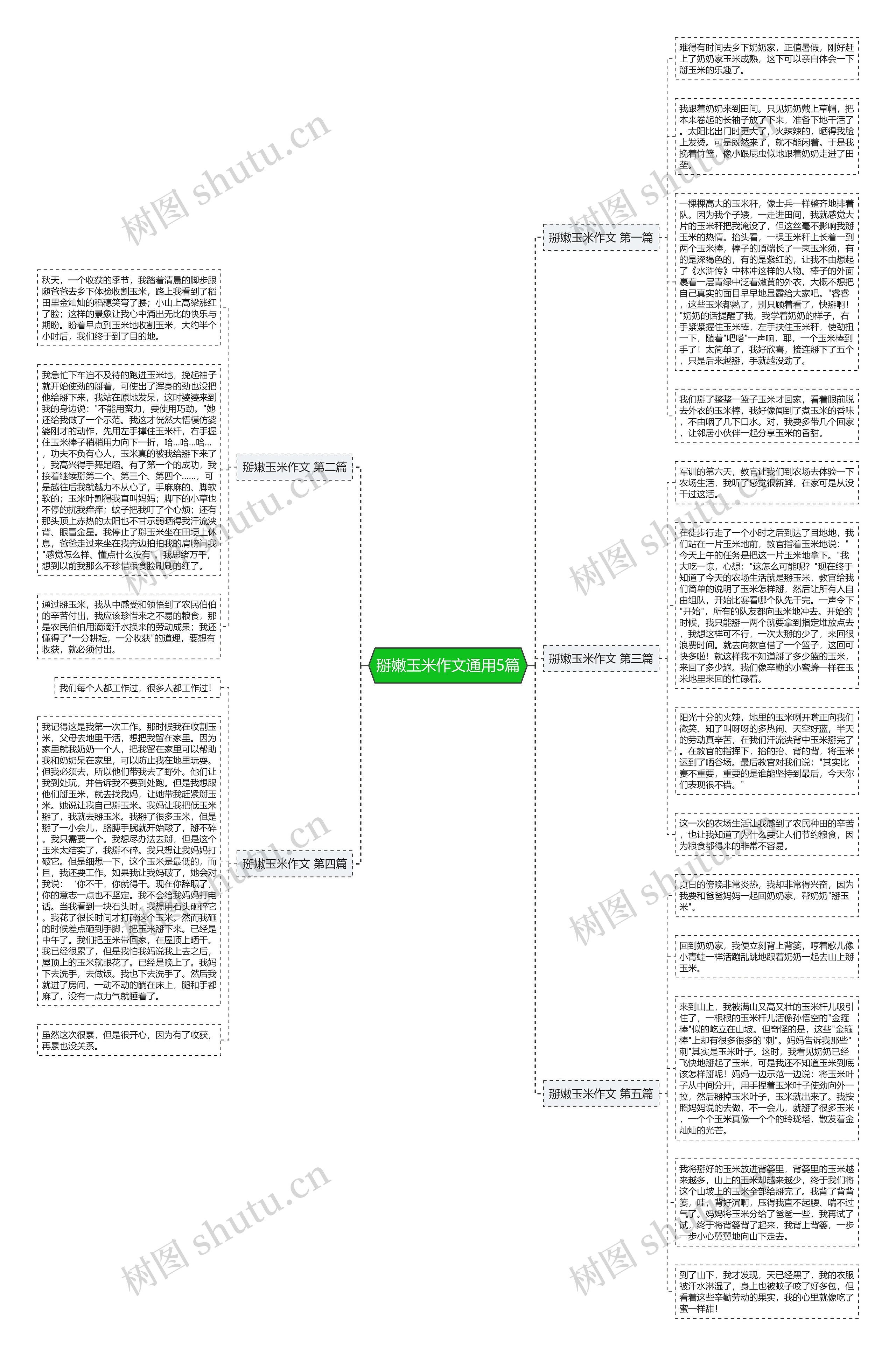 掰嫩玉米作文通用5篇思维导图