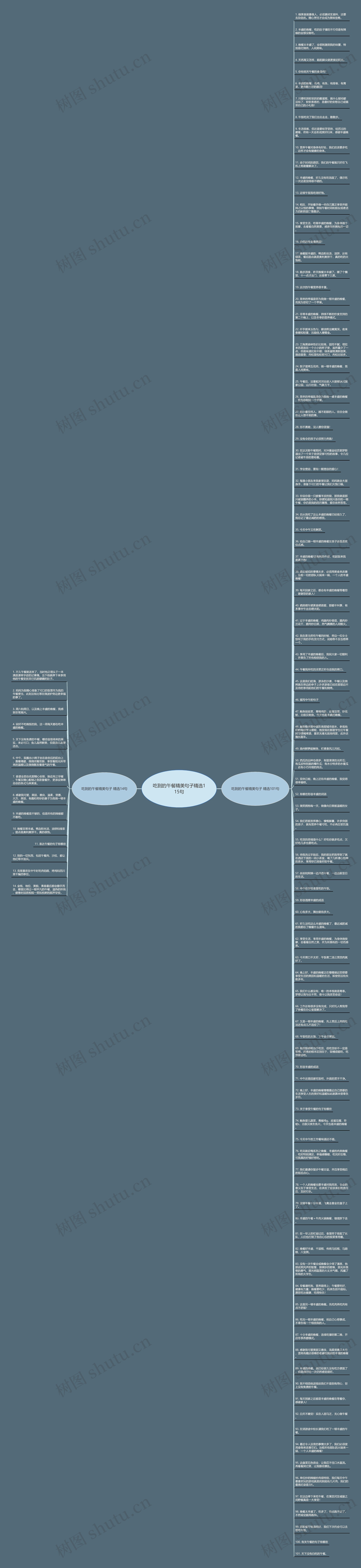 吃到的午餐精美句子精选115句思维导图