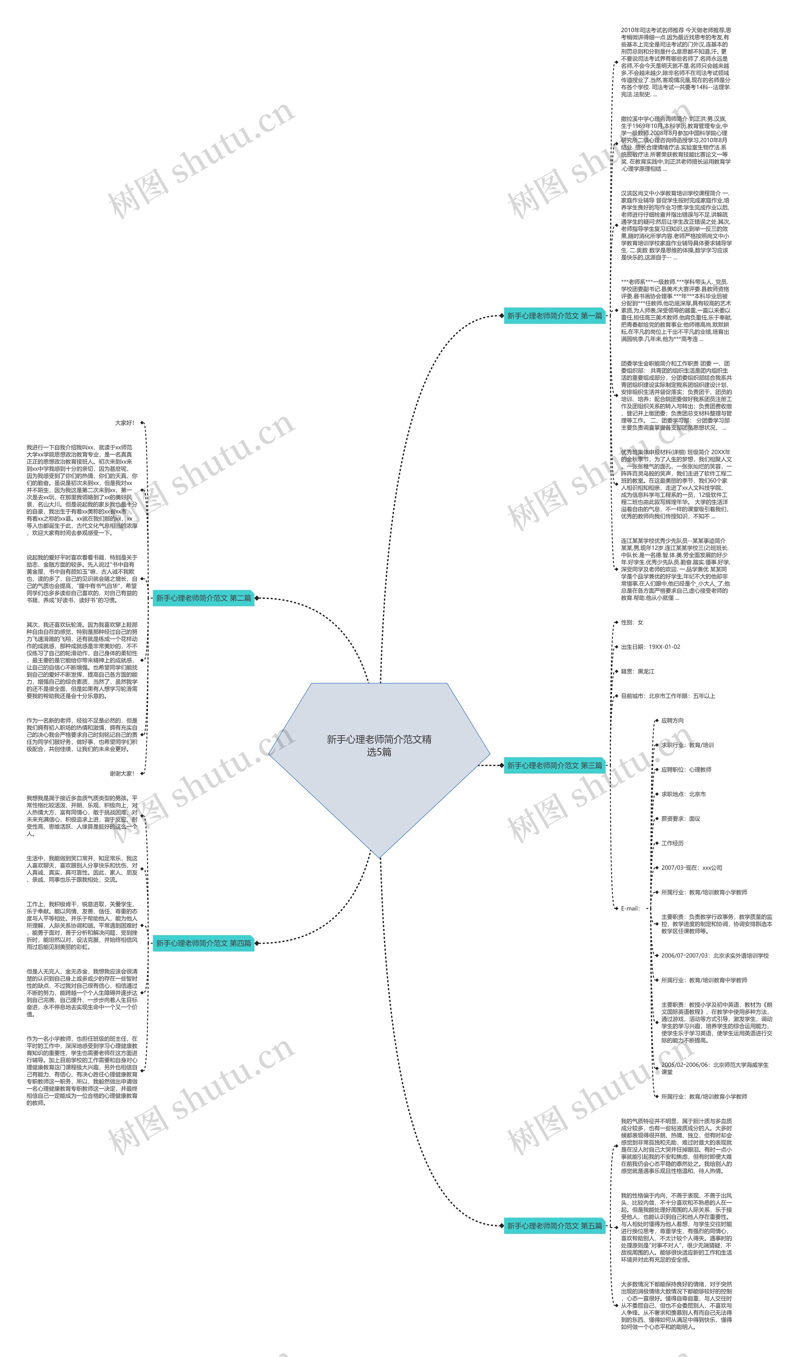 新手心理老师简介范文精选5篇思维导图