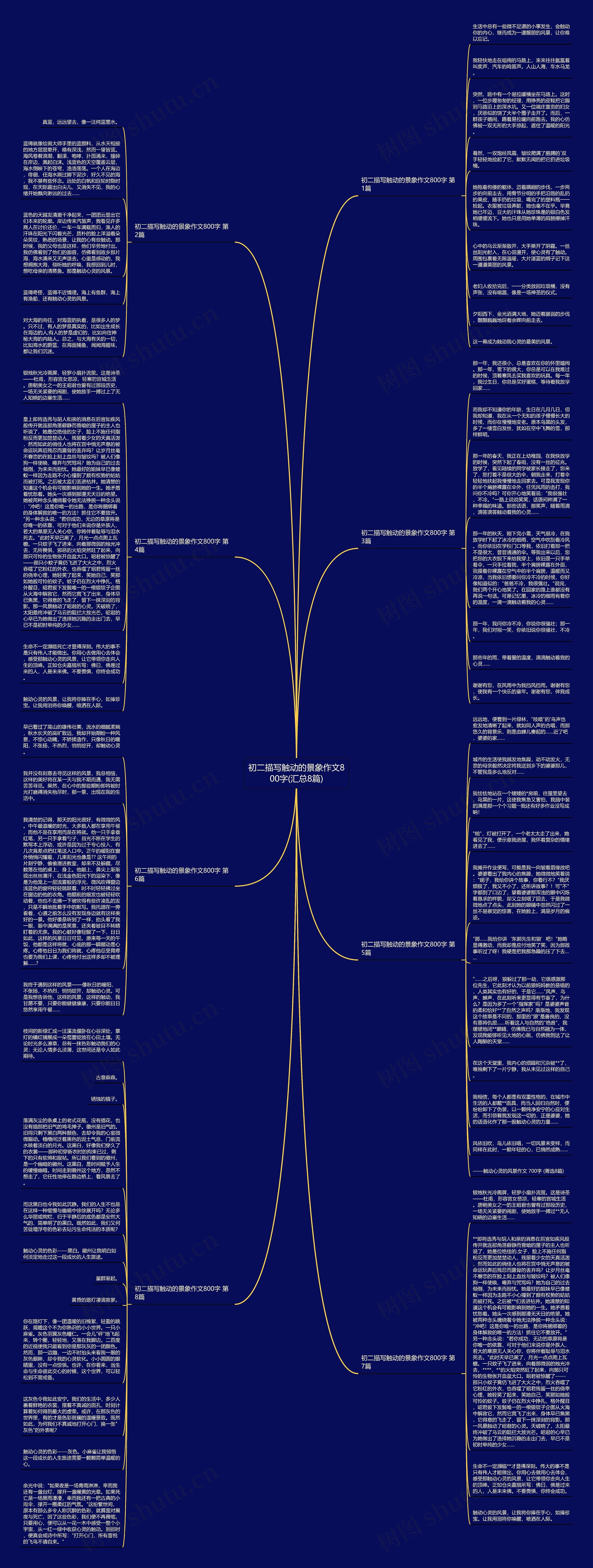 初二描写触动的景象作文800字(汇总8篇)思维导图
