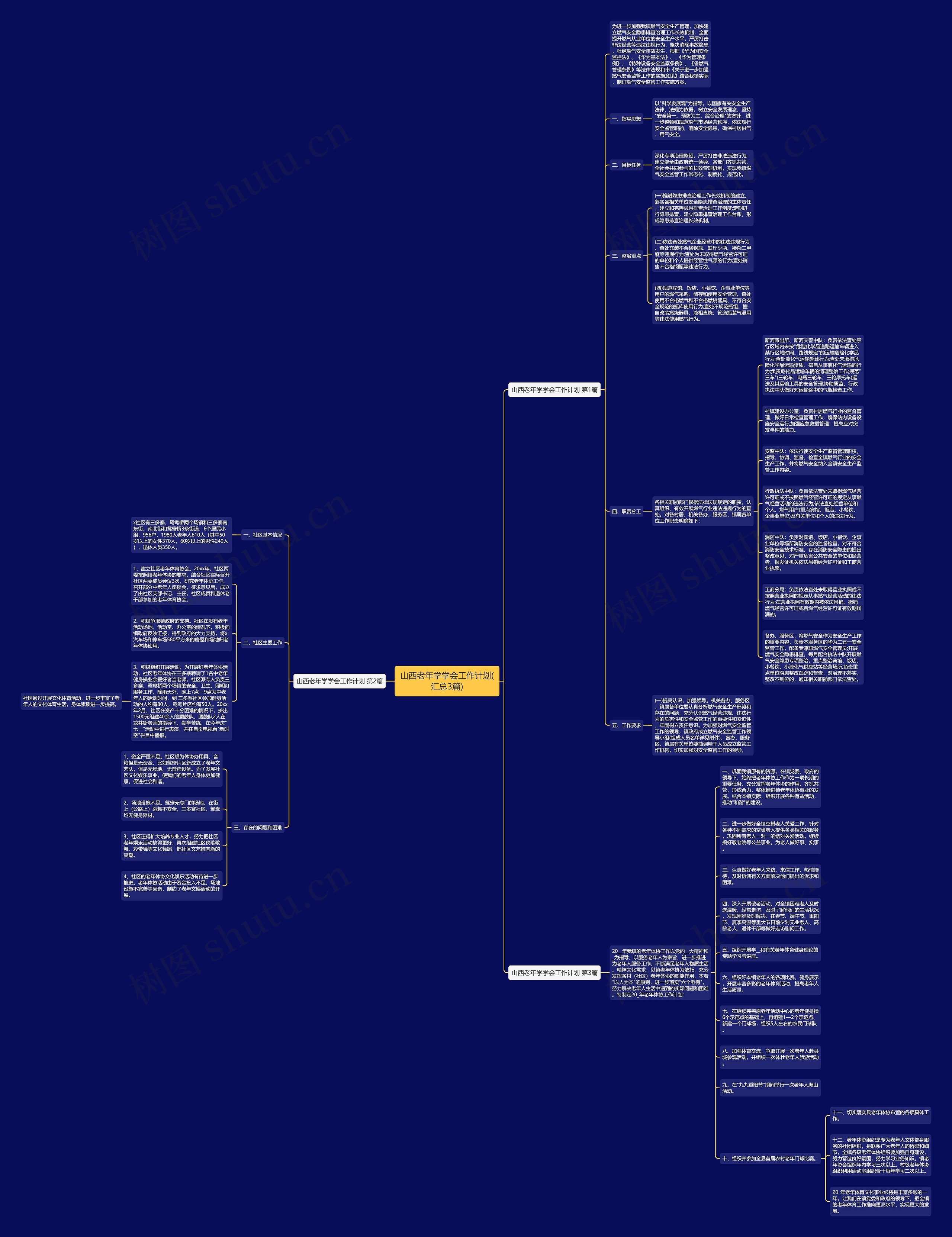 山西老年学学会工作计划(汇总3篇)思维导图