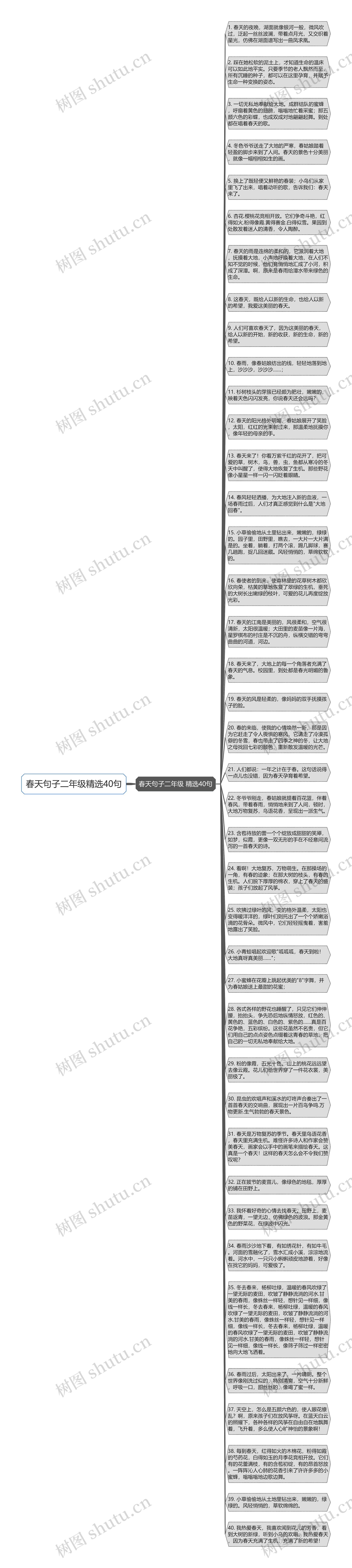 春天句子二年级精选40句思维导图