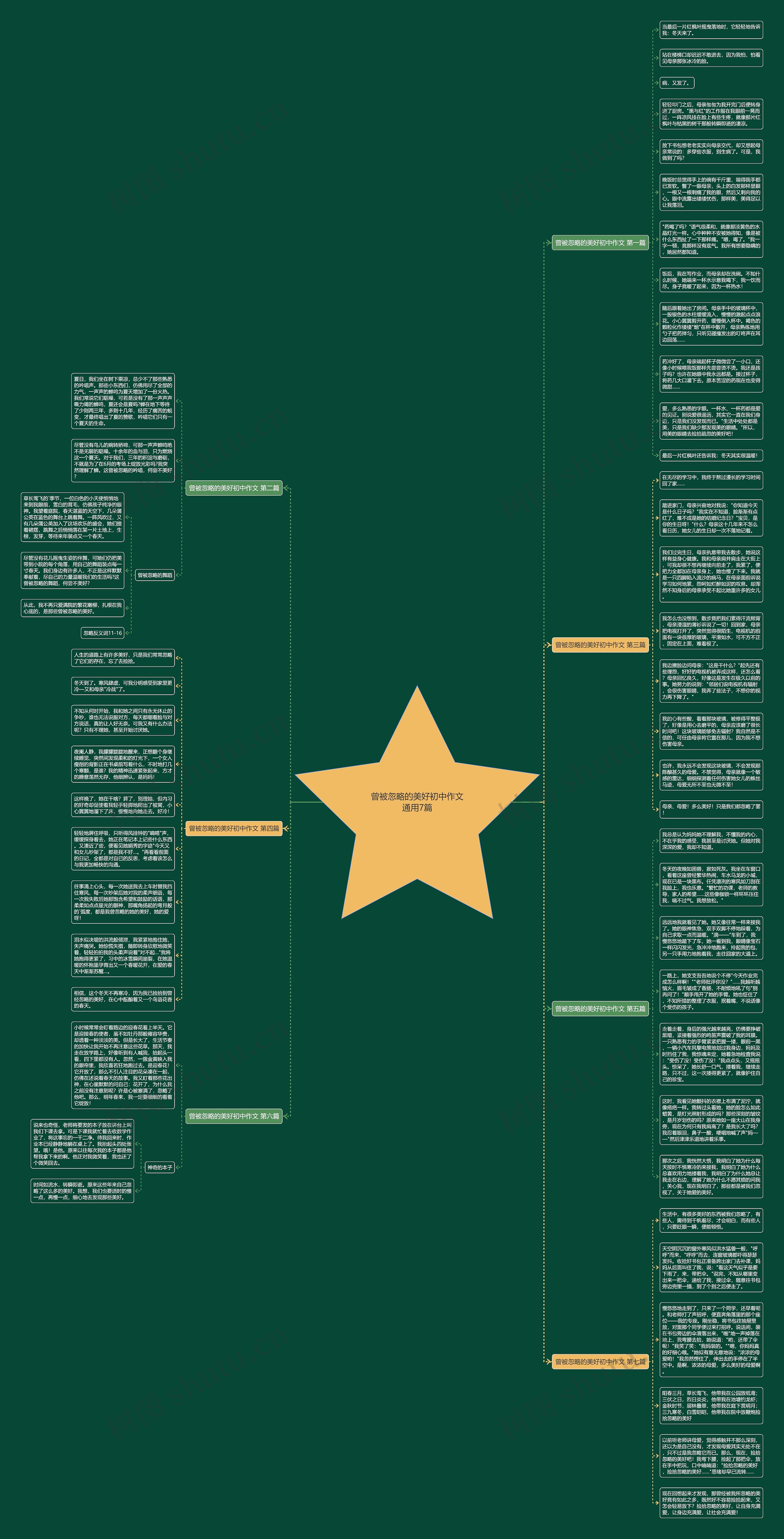 曾被忽略的美好初中作文通用7篇思维导图