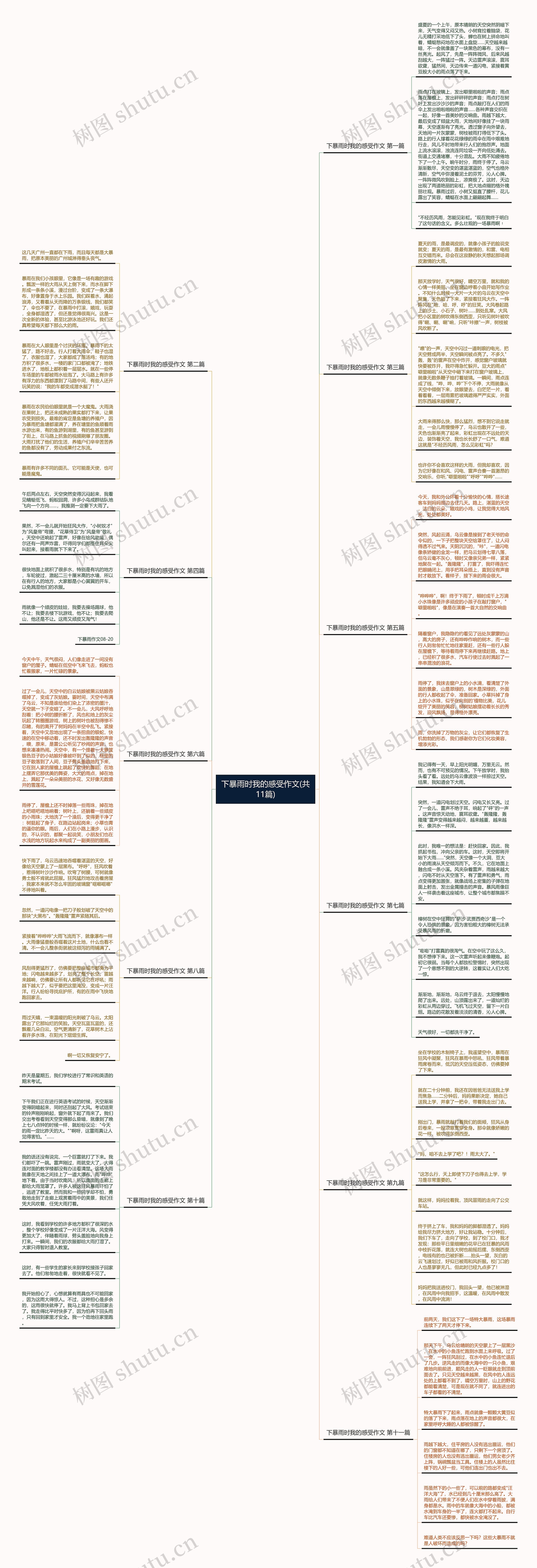 下暴雨时我的感受作文(共11篇)思维导图